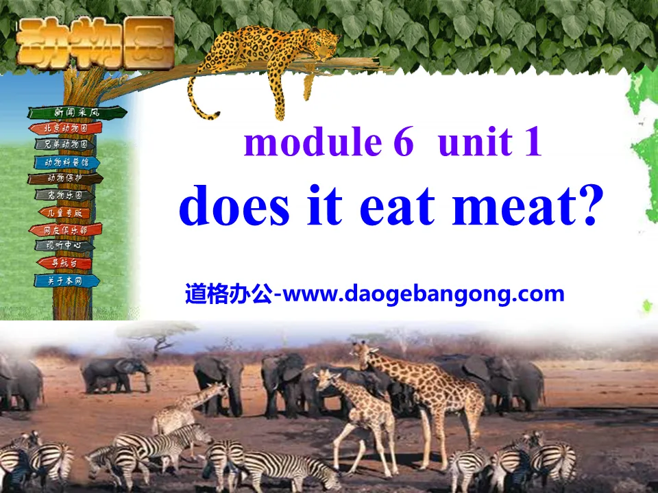"Does it eat meat?" PPT courseware 2