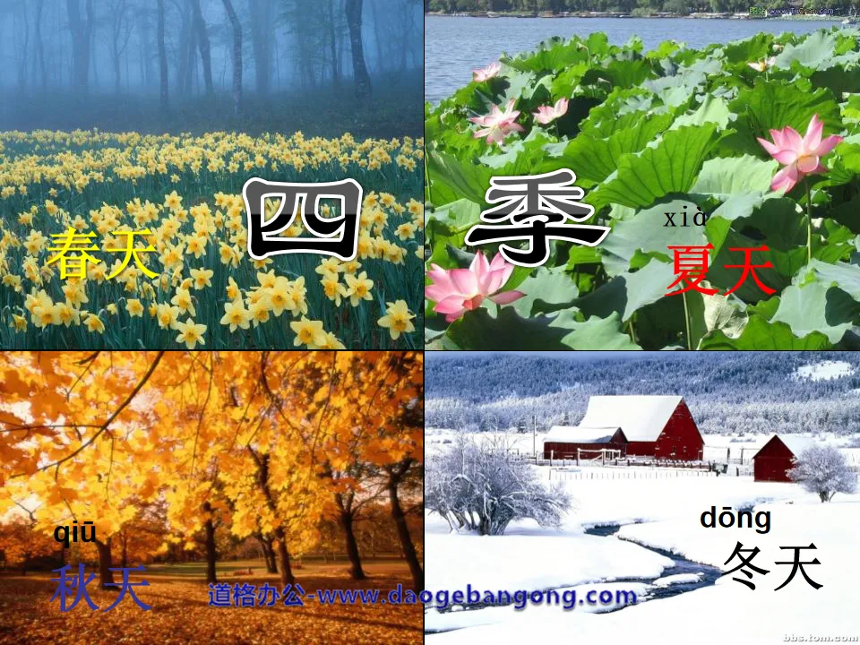 "Four Seasons" PPT courseware 3