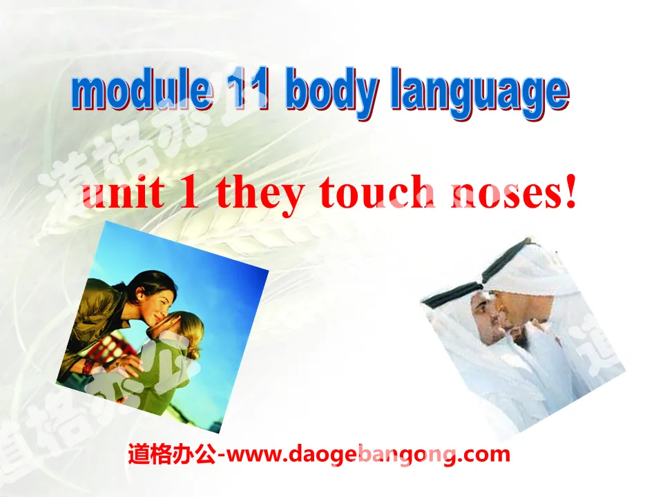 "They touch noses" Body language PPT courseware 2