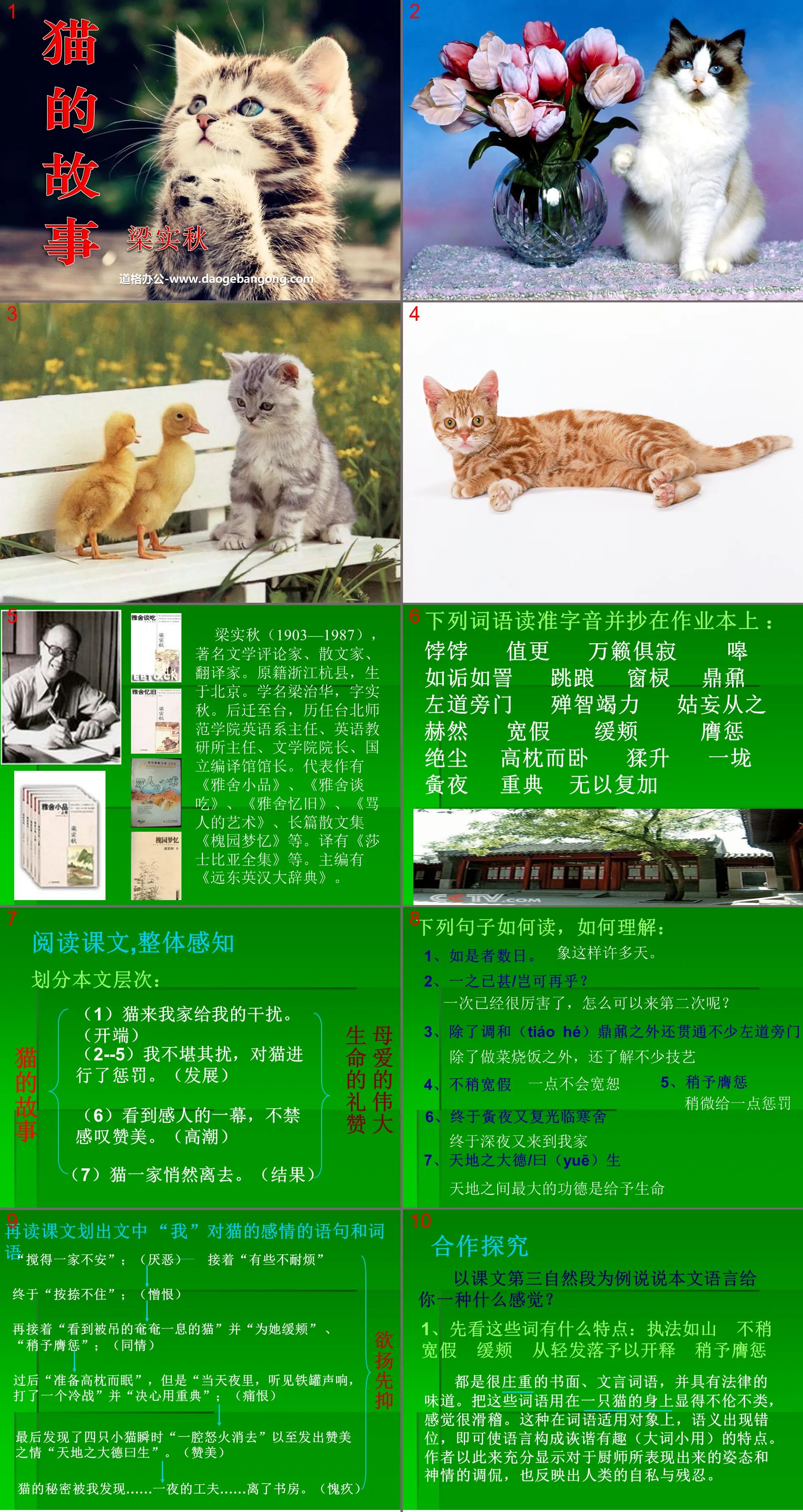 《猫的故事》PPT课件