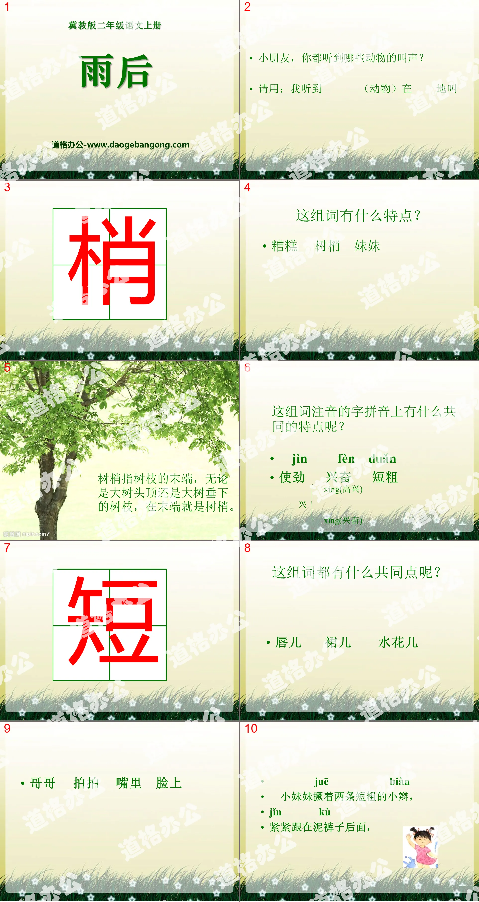 《雨后》PPT课件12
