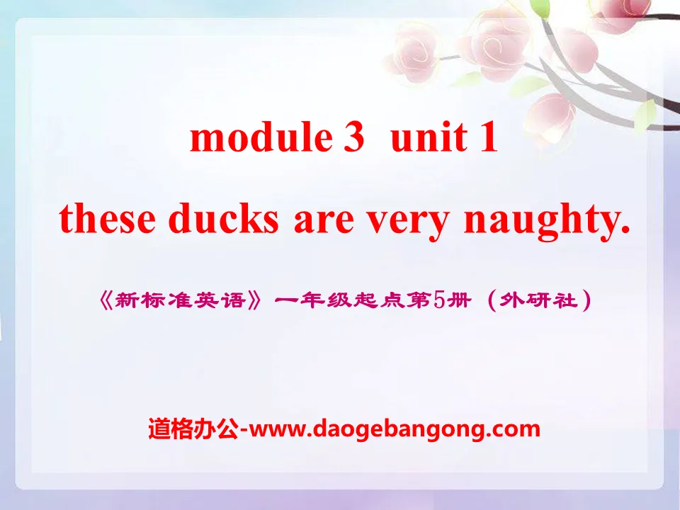 《These ducks are very naughty!》PPT课件3