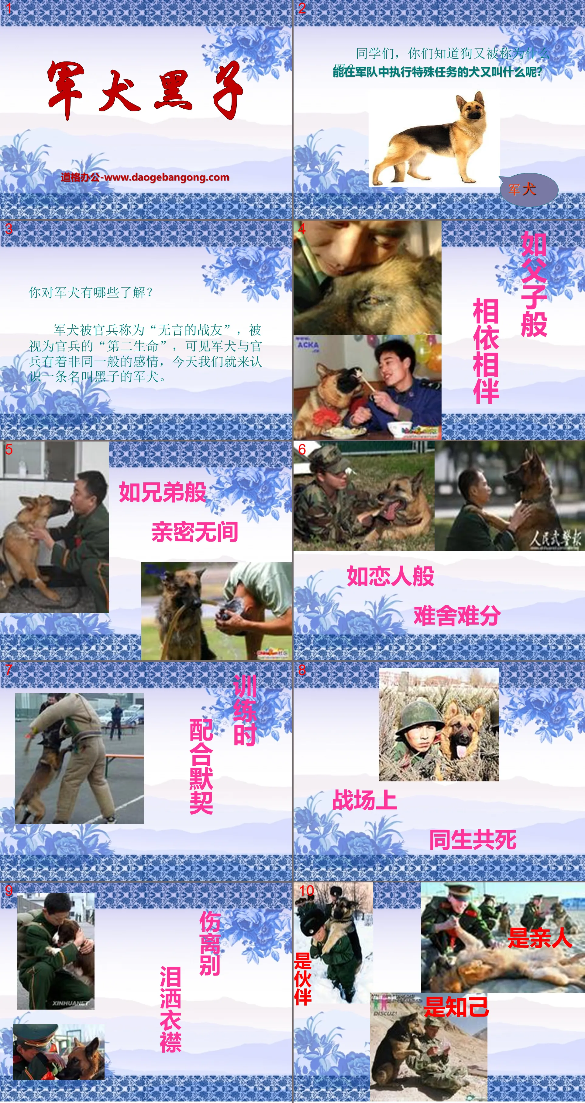 《軍犬黑子》PPT課件