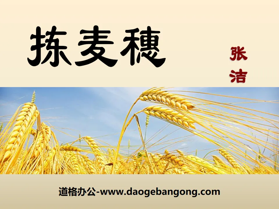 "Picking Wheat" PPT