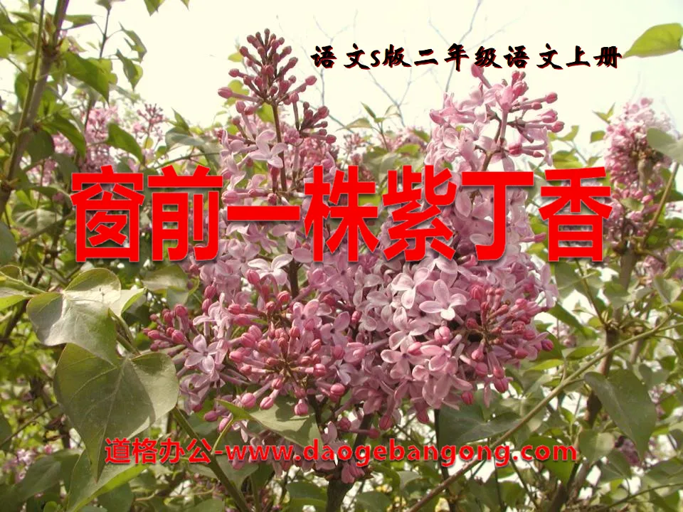 "A Lilac in front of the Window" PPT Courseware 2