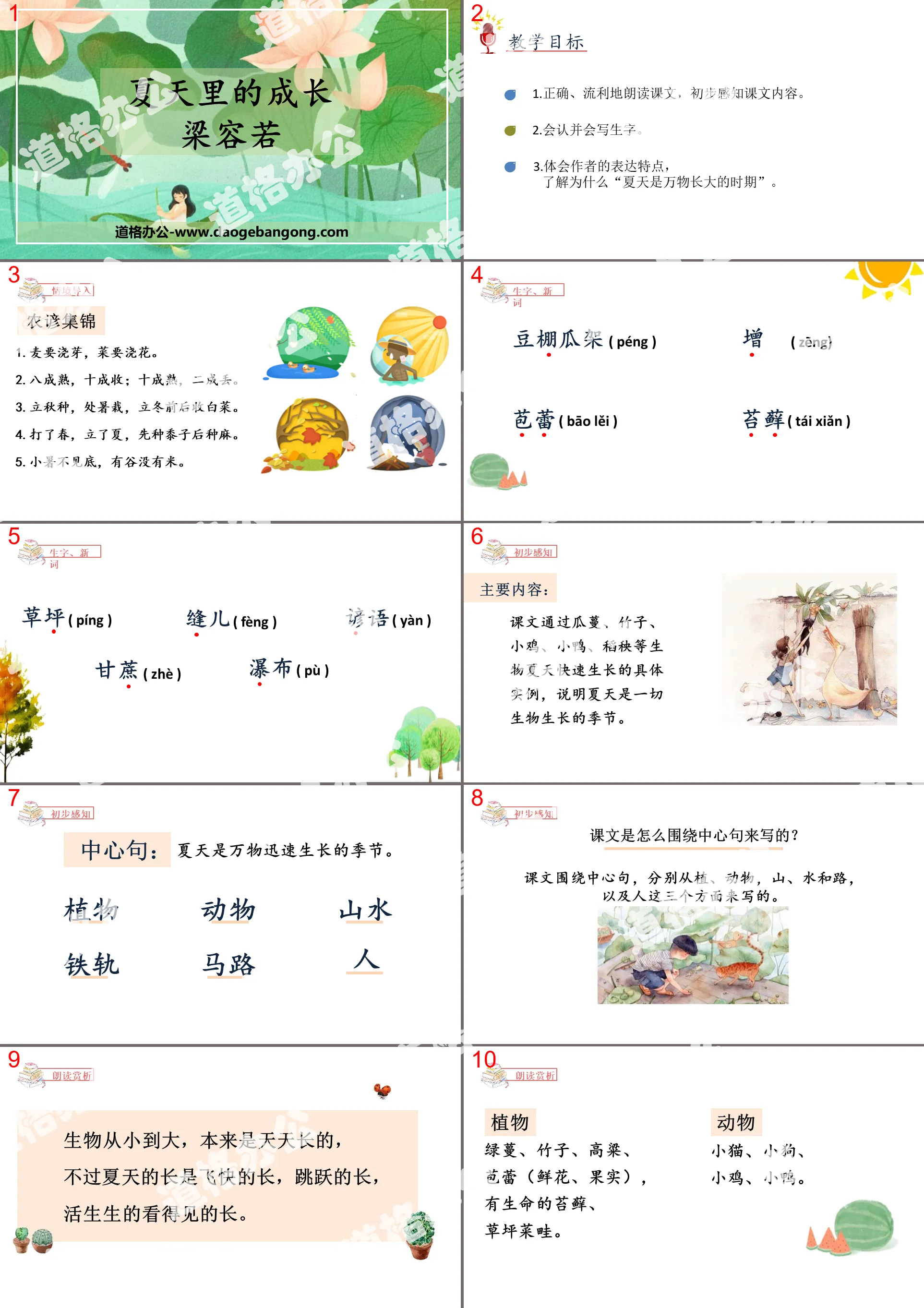 《夏天里的成长》PPT优质课件