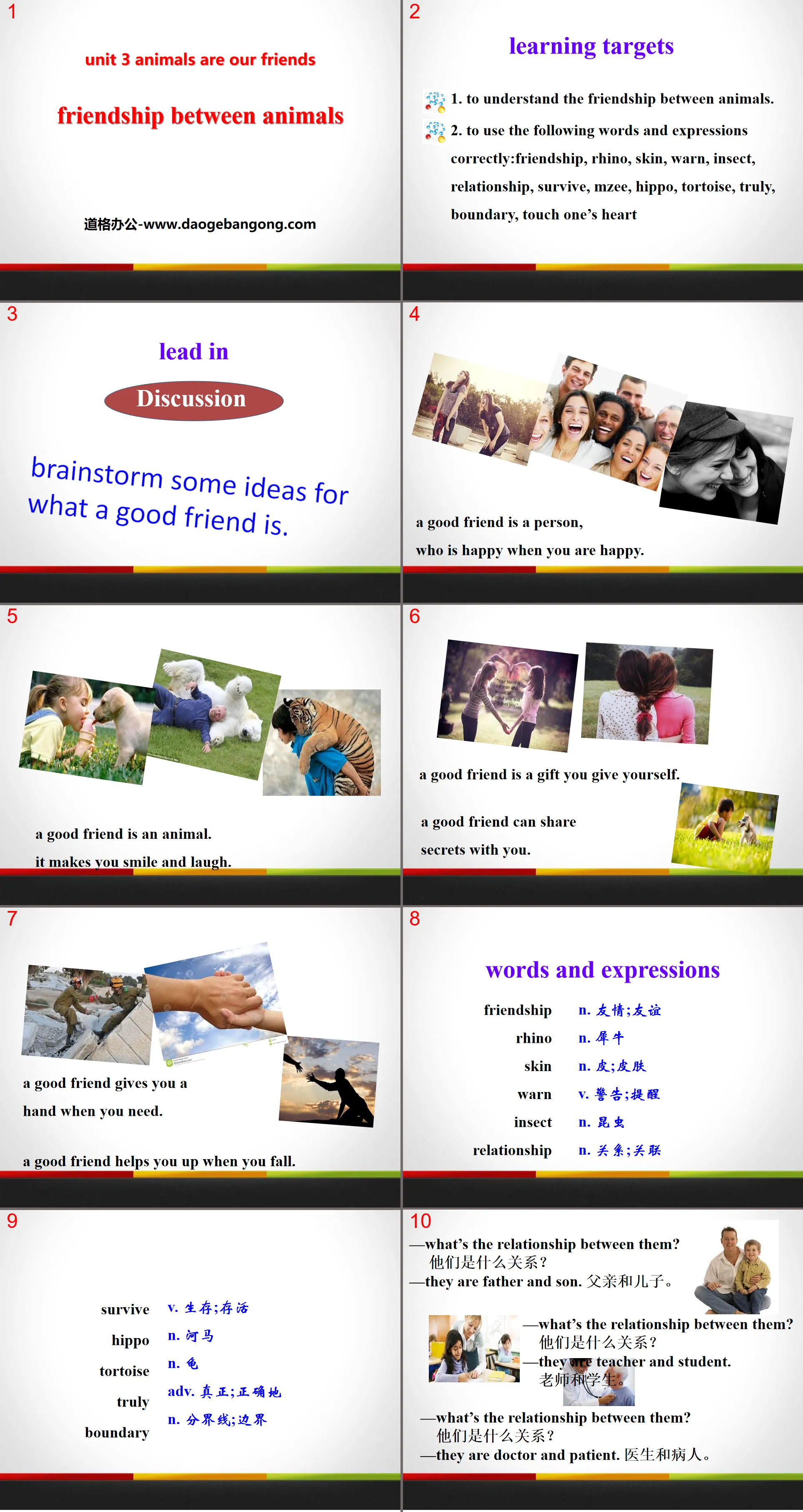 "Friendship Between Animals" Animals Are Our Friends PPT courseware download