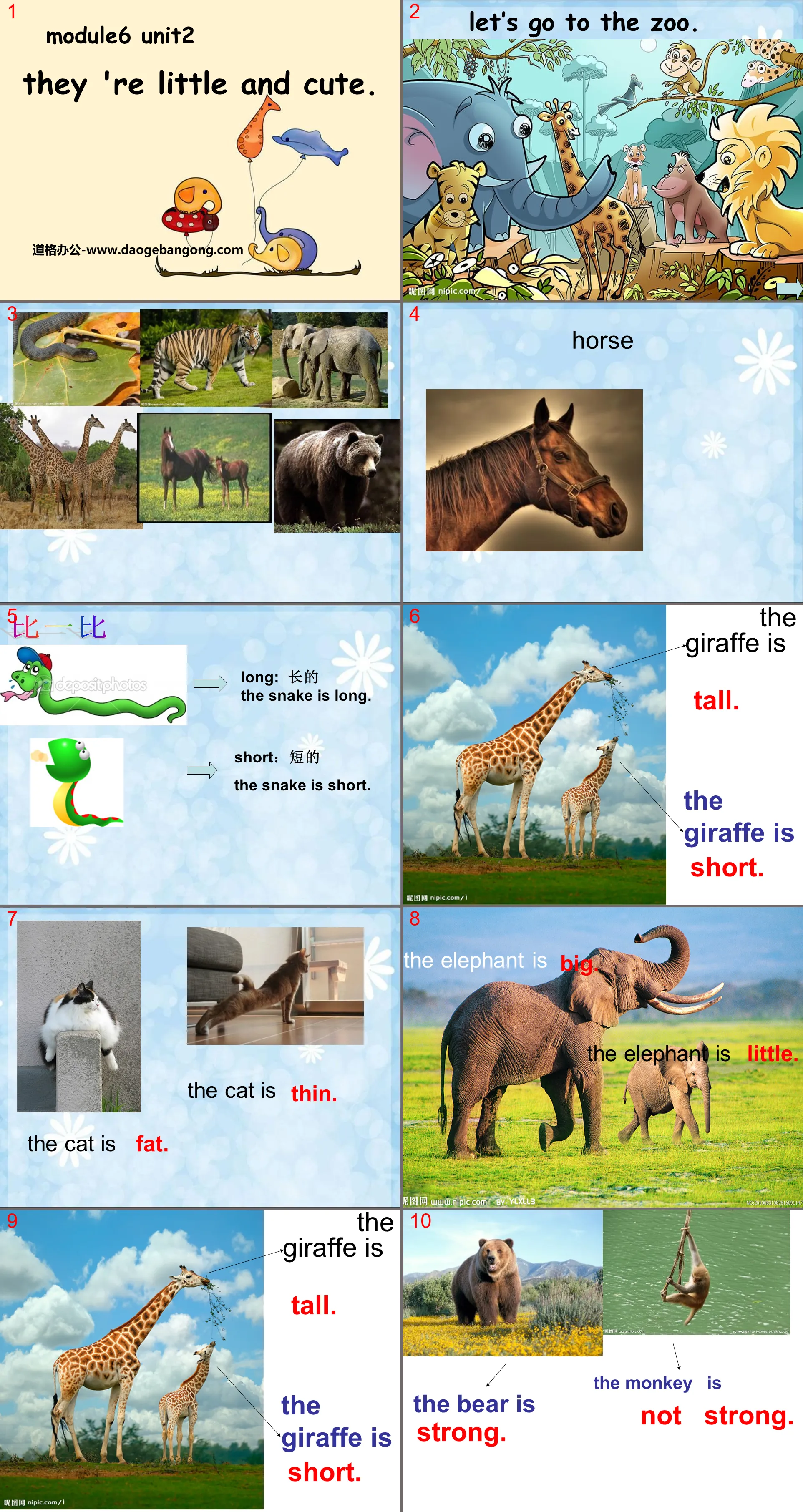 "They’re little and cute" PPT courseware