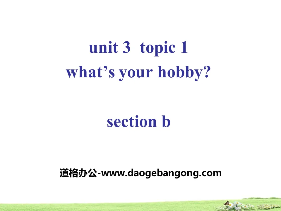 《What's your hobby?》SectionB PPT