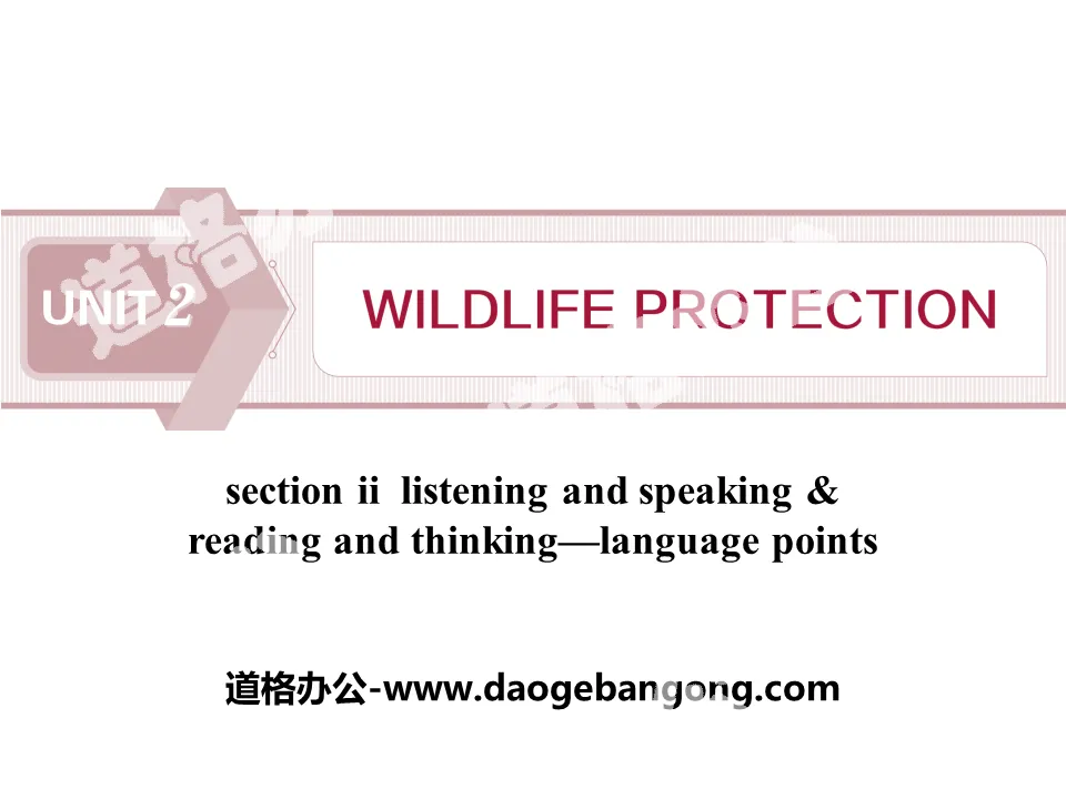 《Wildlife Protection》SectionⅡ PPT
