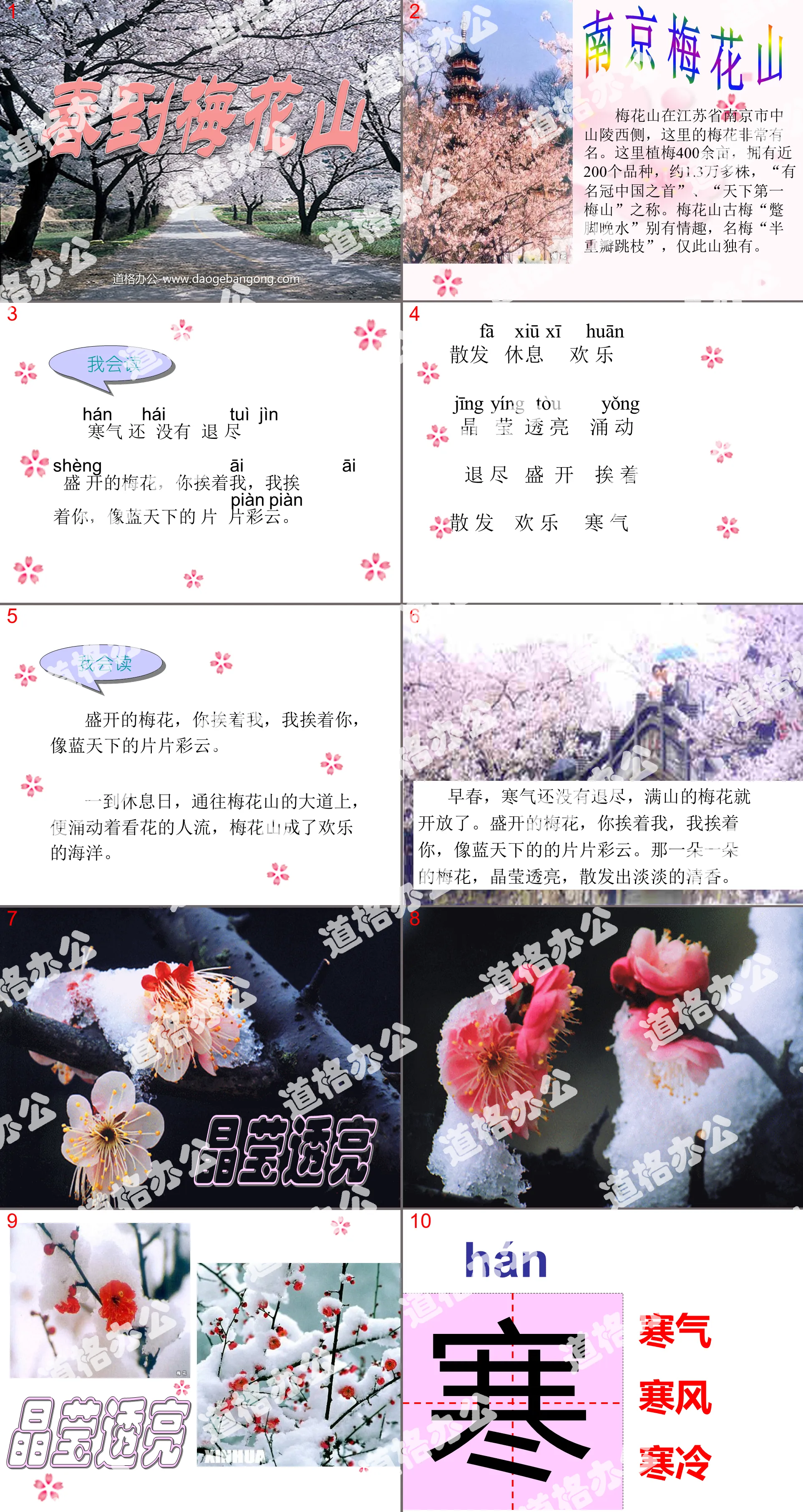 "Spring Arrives at Plum Blossom Mountain" PPT courseware 3