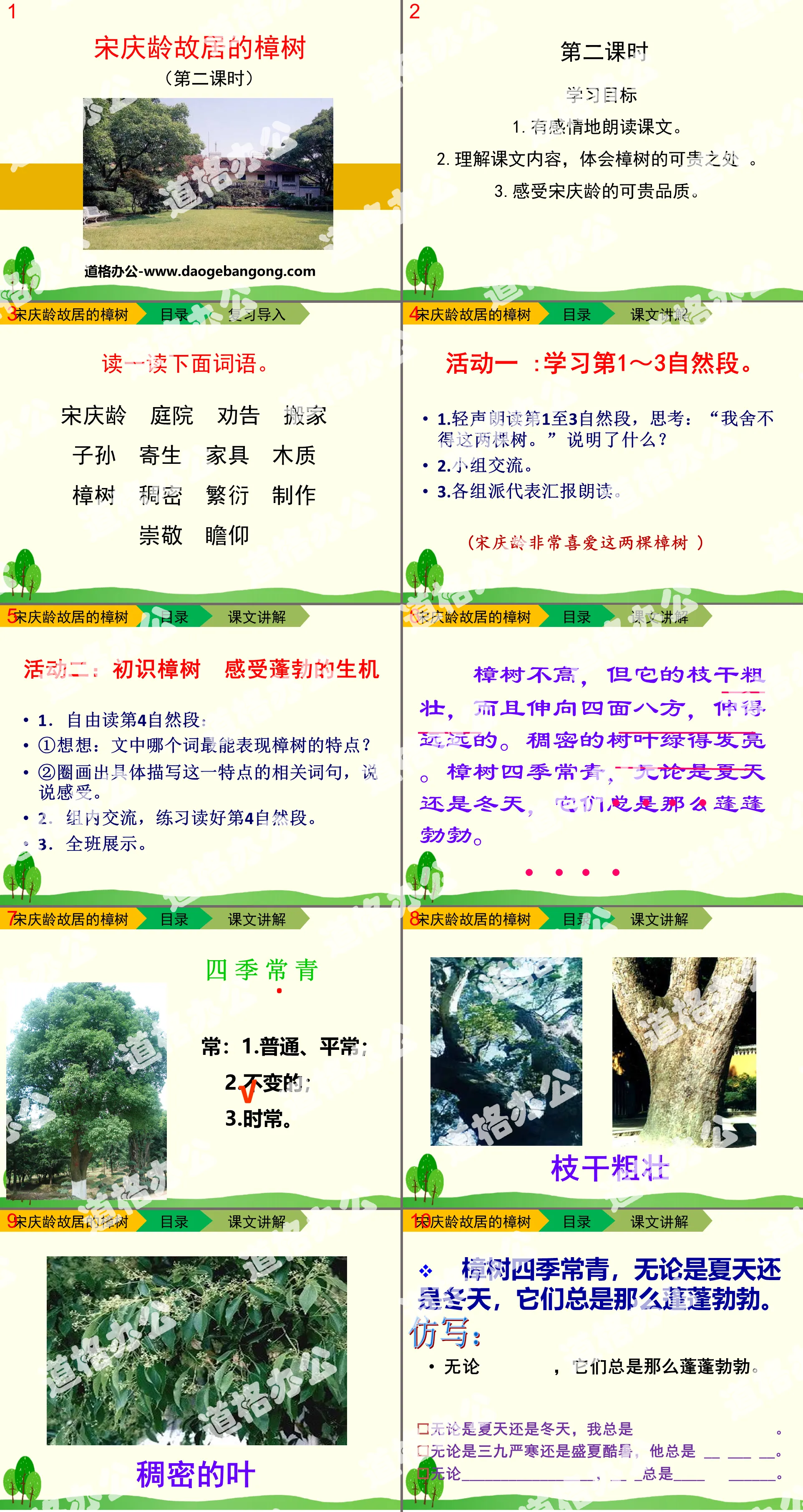 "Camphor Tree at Soong Ching Ling's Former Residence" PPT download