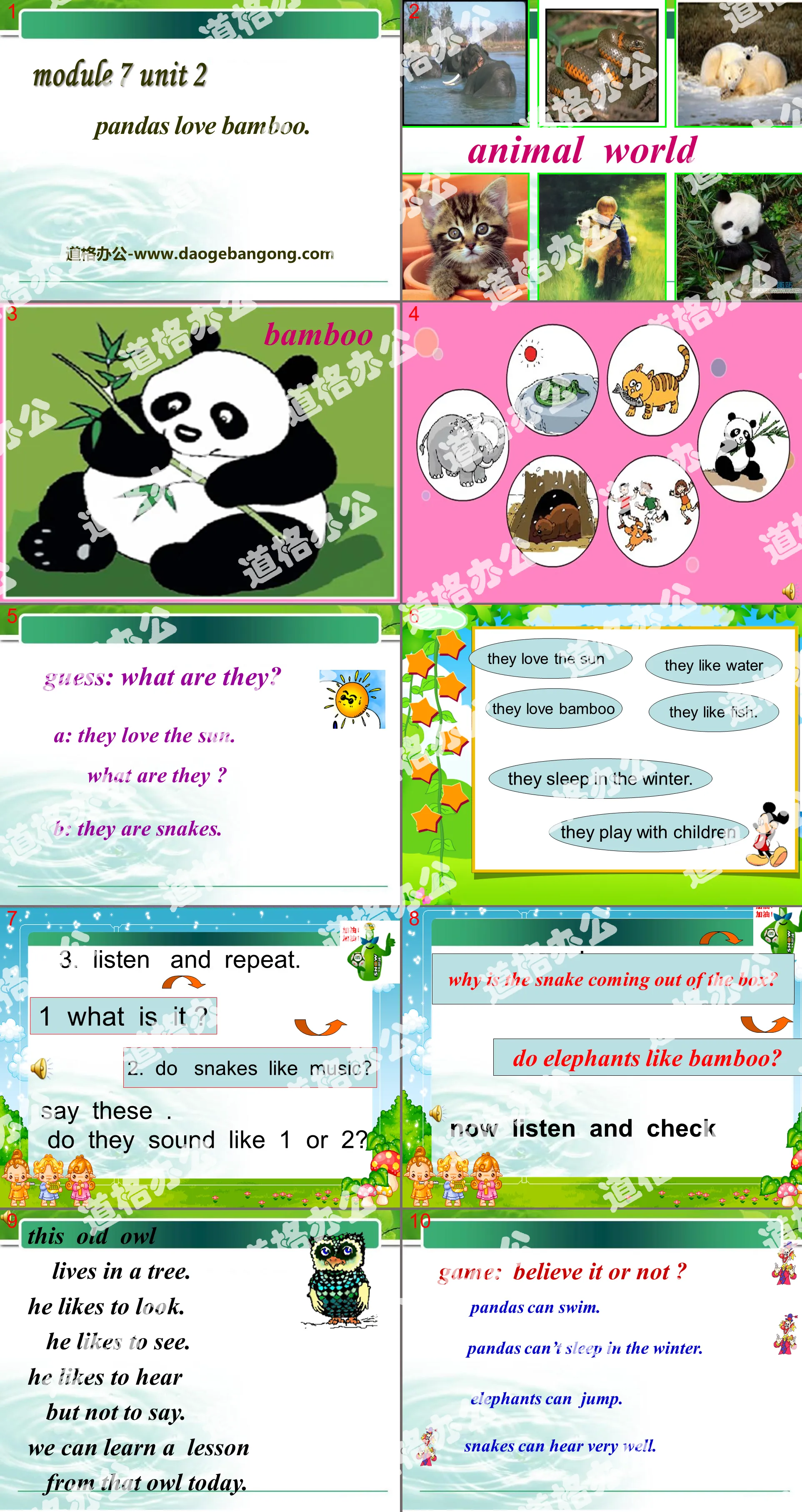 《Pandas love bamboo》PPT课件2
