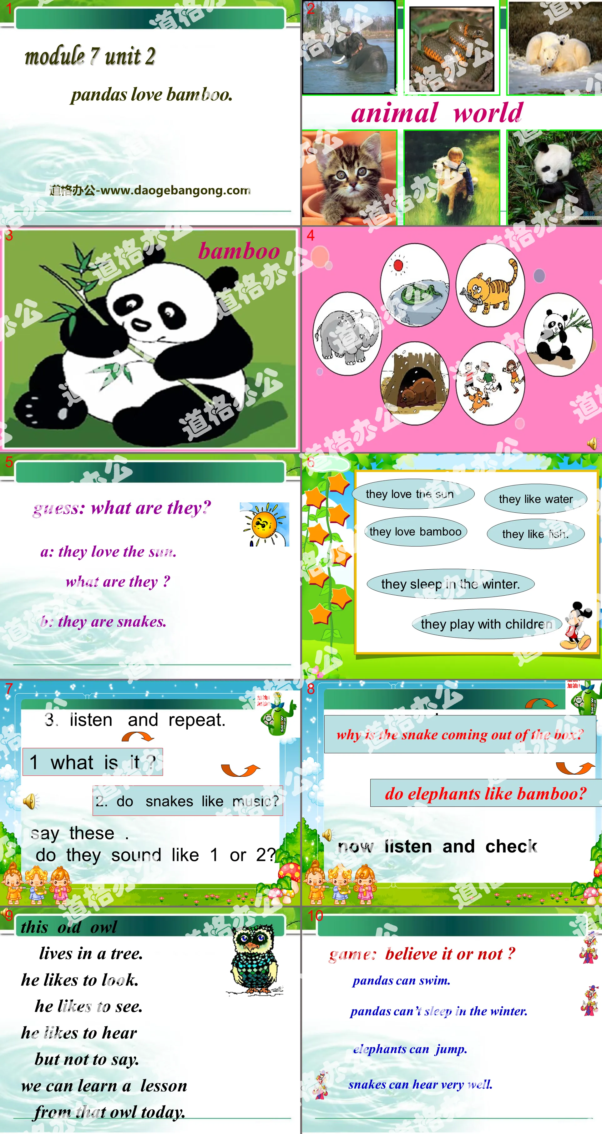 "Pandas love bamboo" PPT courseware 2