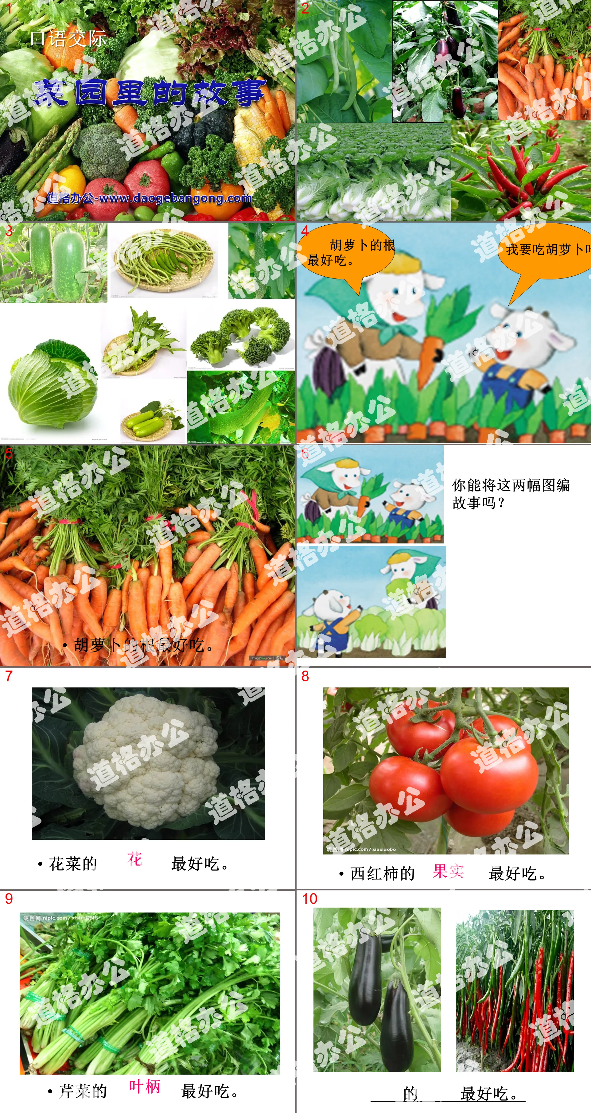 "Stories in the Vegetable Garden" PPT courseware