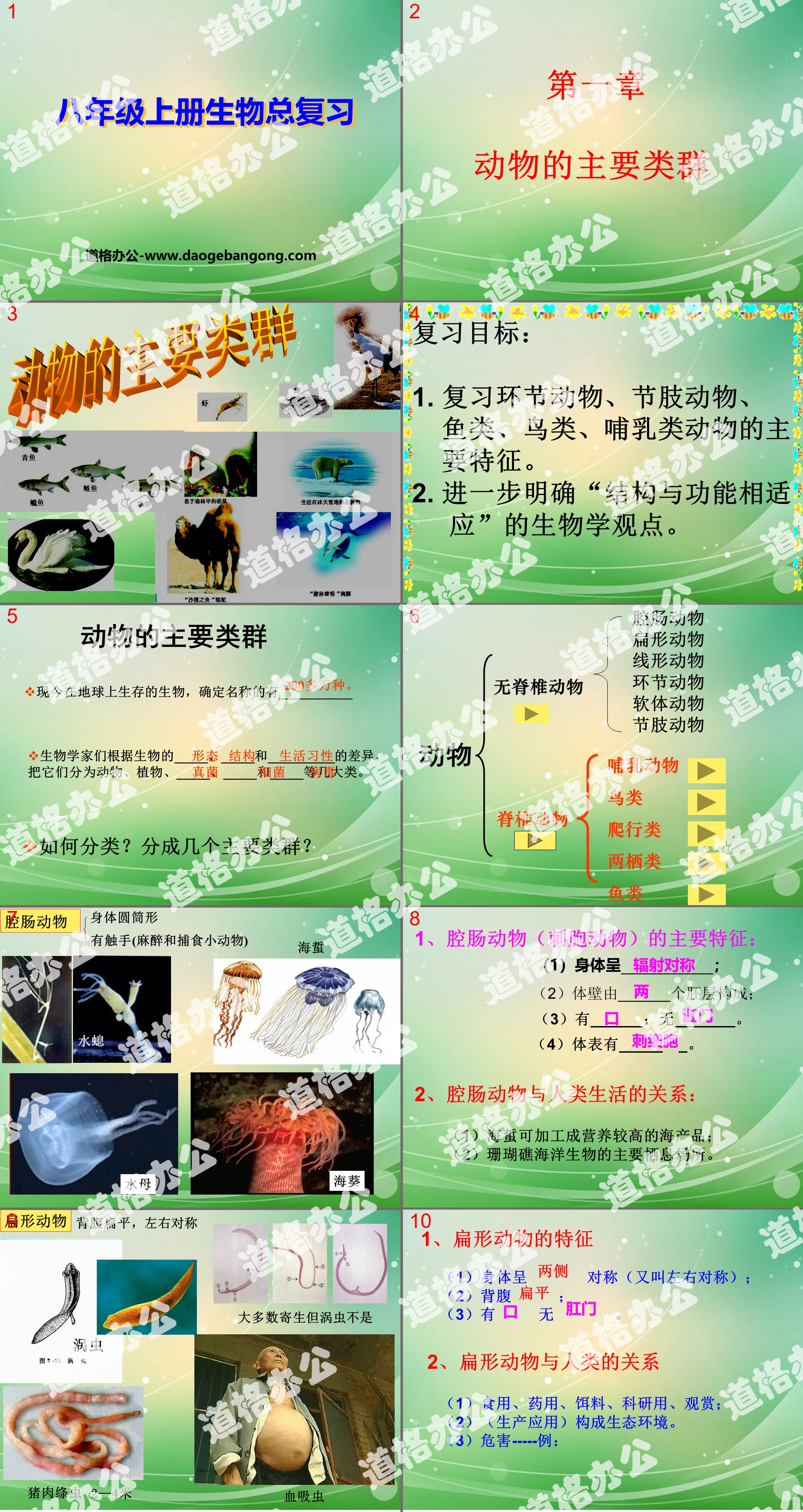 《八年级生物上册总复习》PPT课件5
