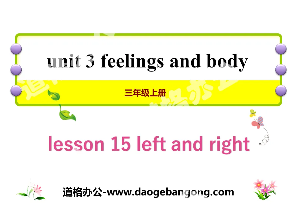 "Left and Right" Feelings and Body PPT courseware