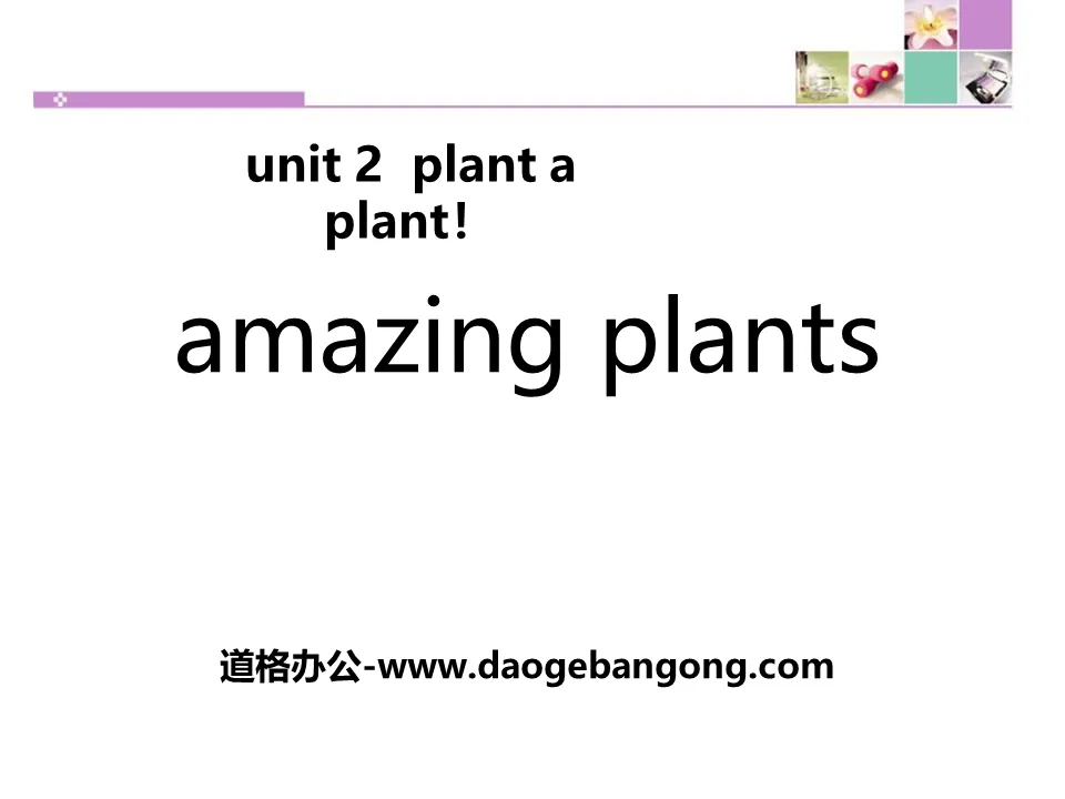 《Amazing Plants》Plant a Plant PPT课件下载

