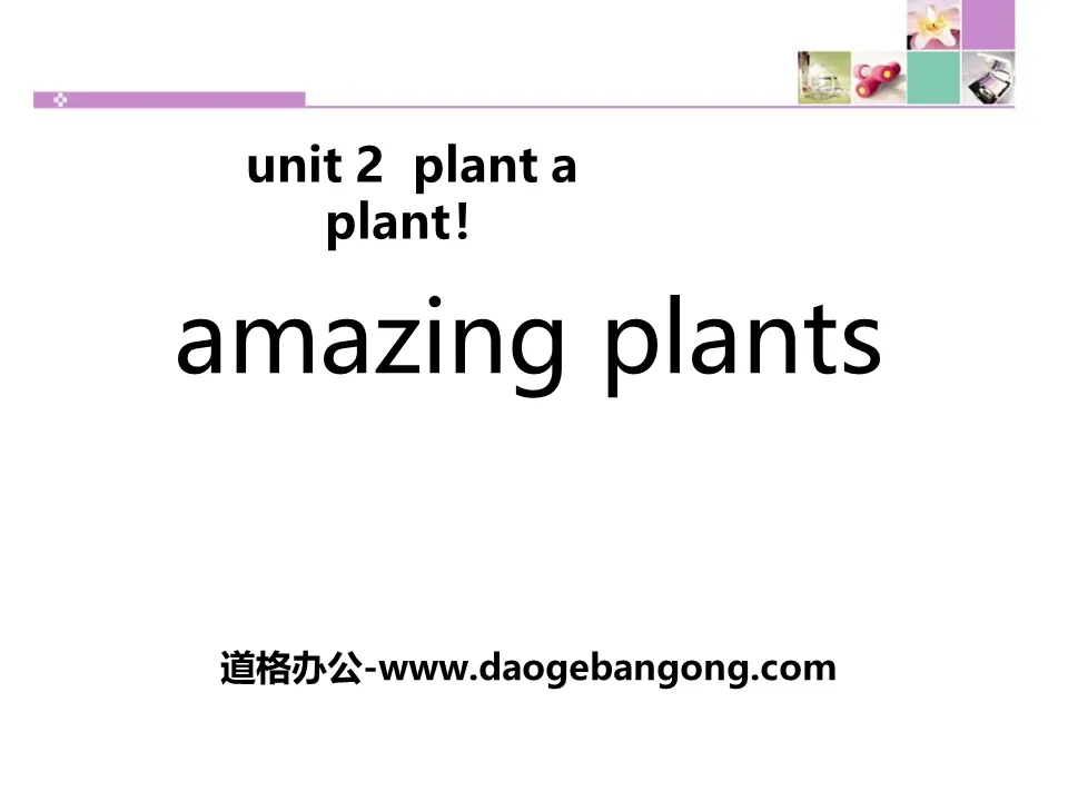 "Amazing Plants" Plant a Plant PPT courseware download