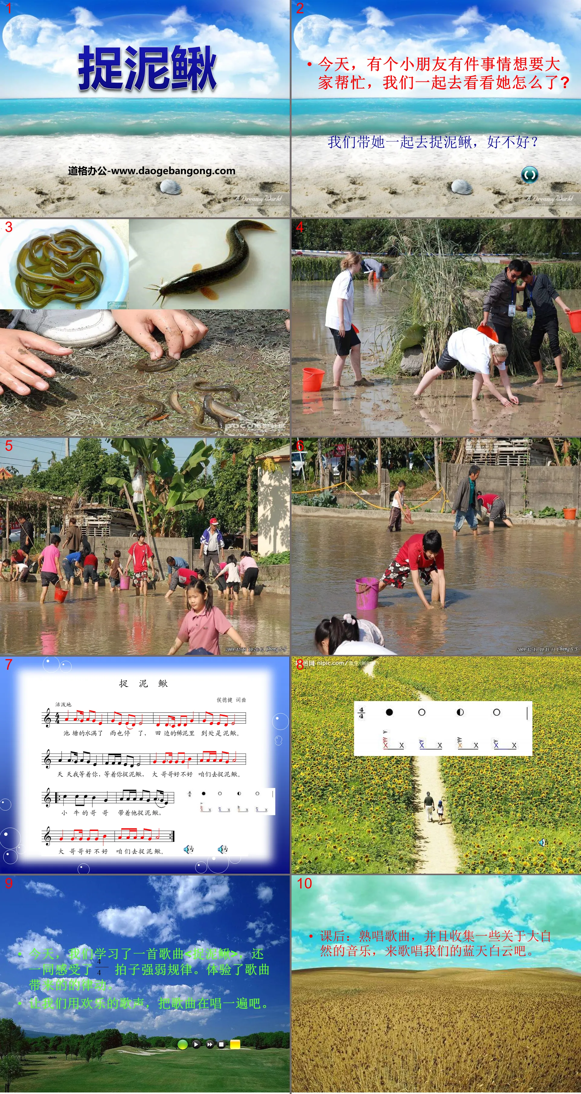 "Catching Loaches" PPT courseware