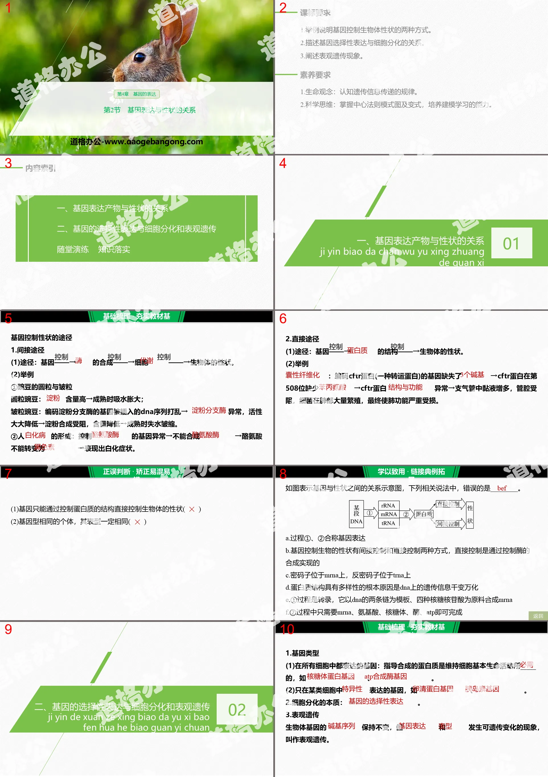 《基因表达与性状的关系》基因的表达PPT