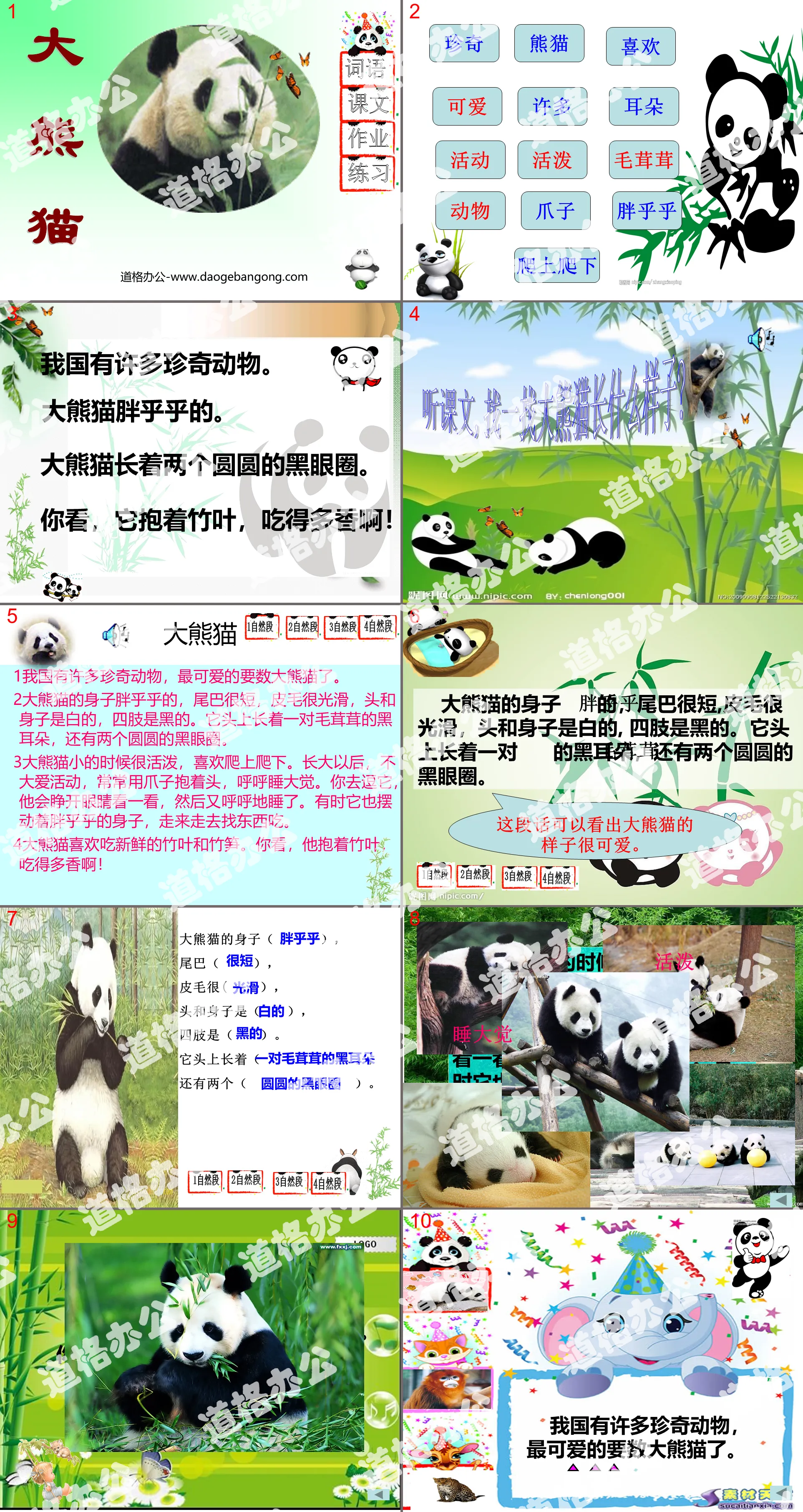 《大熊猫》PPT课件3