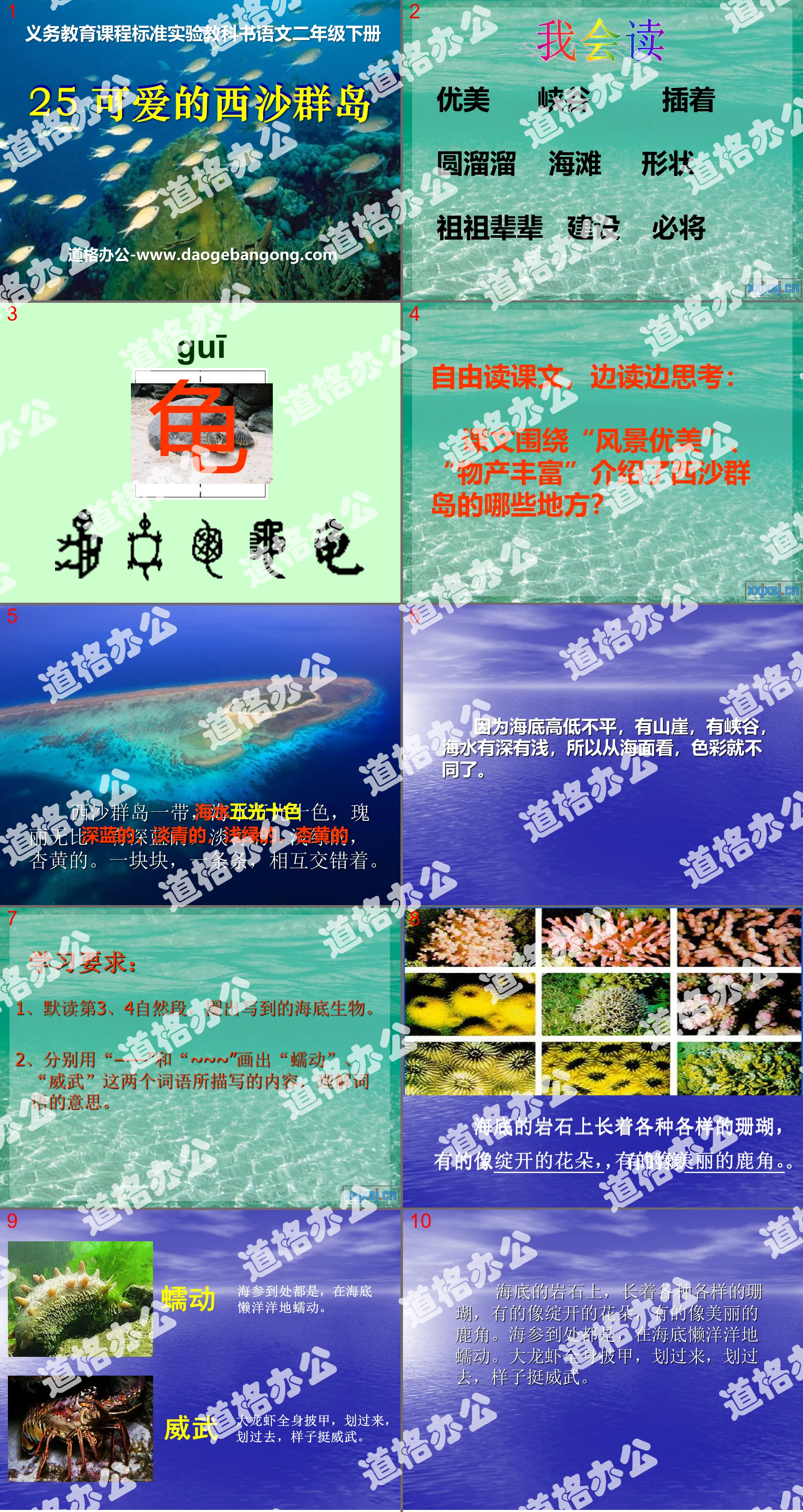 "Lovely Xisha Islands" PPT courseware