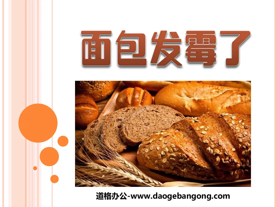 "Bread is Moldy" Food PPT Courseware 4