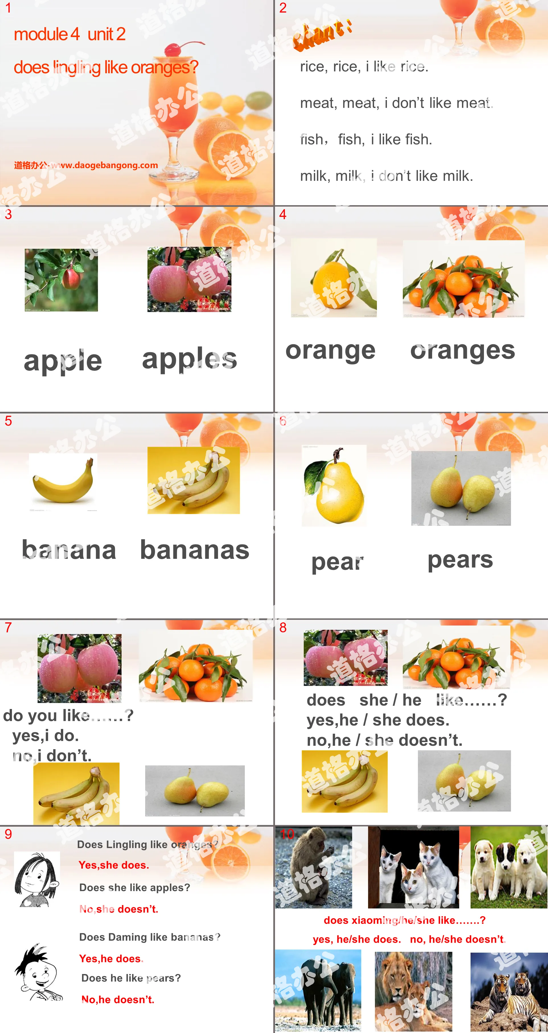 《Does Lingling like oranges?》PPT课件2
