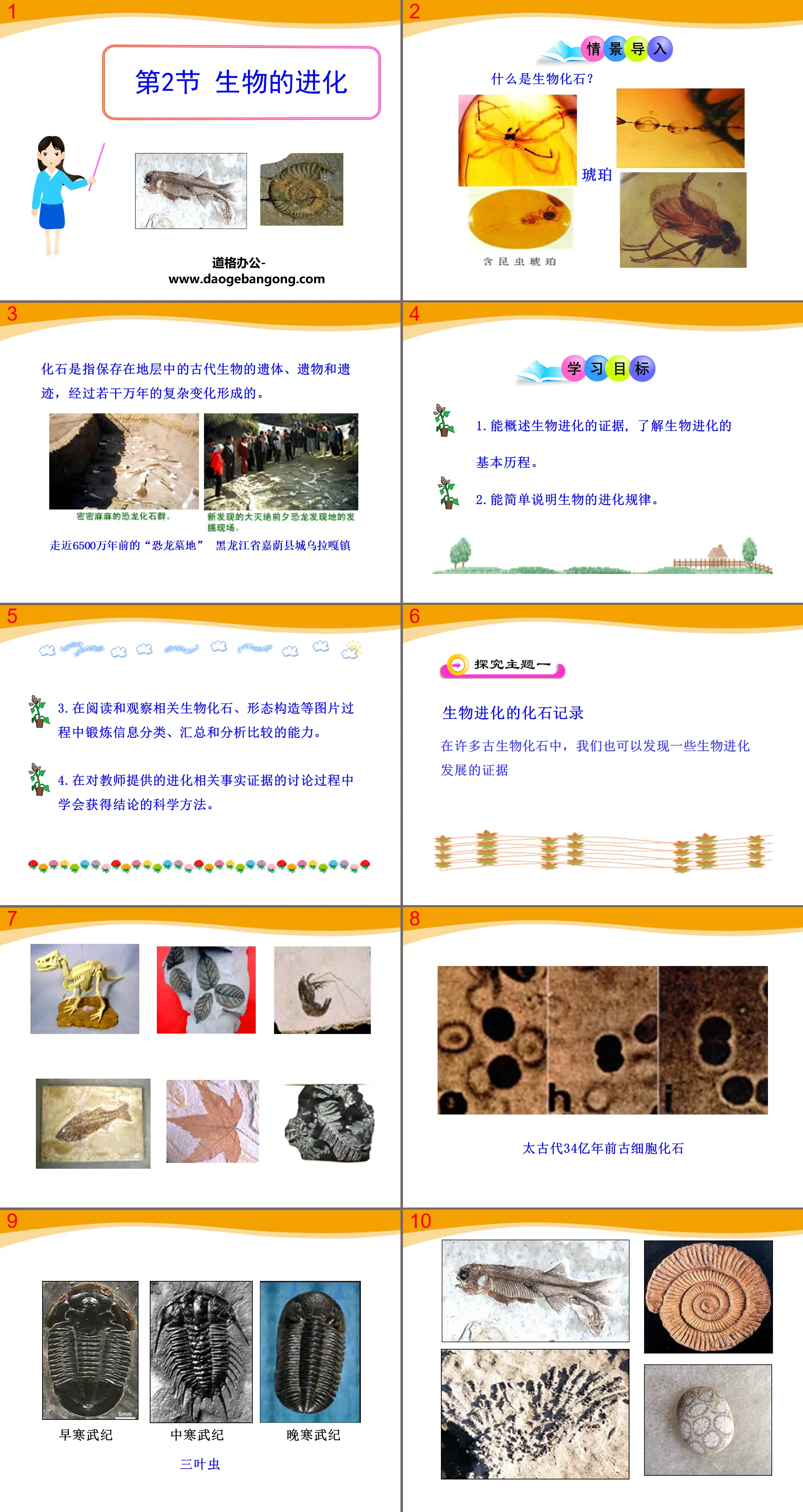 《生物的進化》PPT