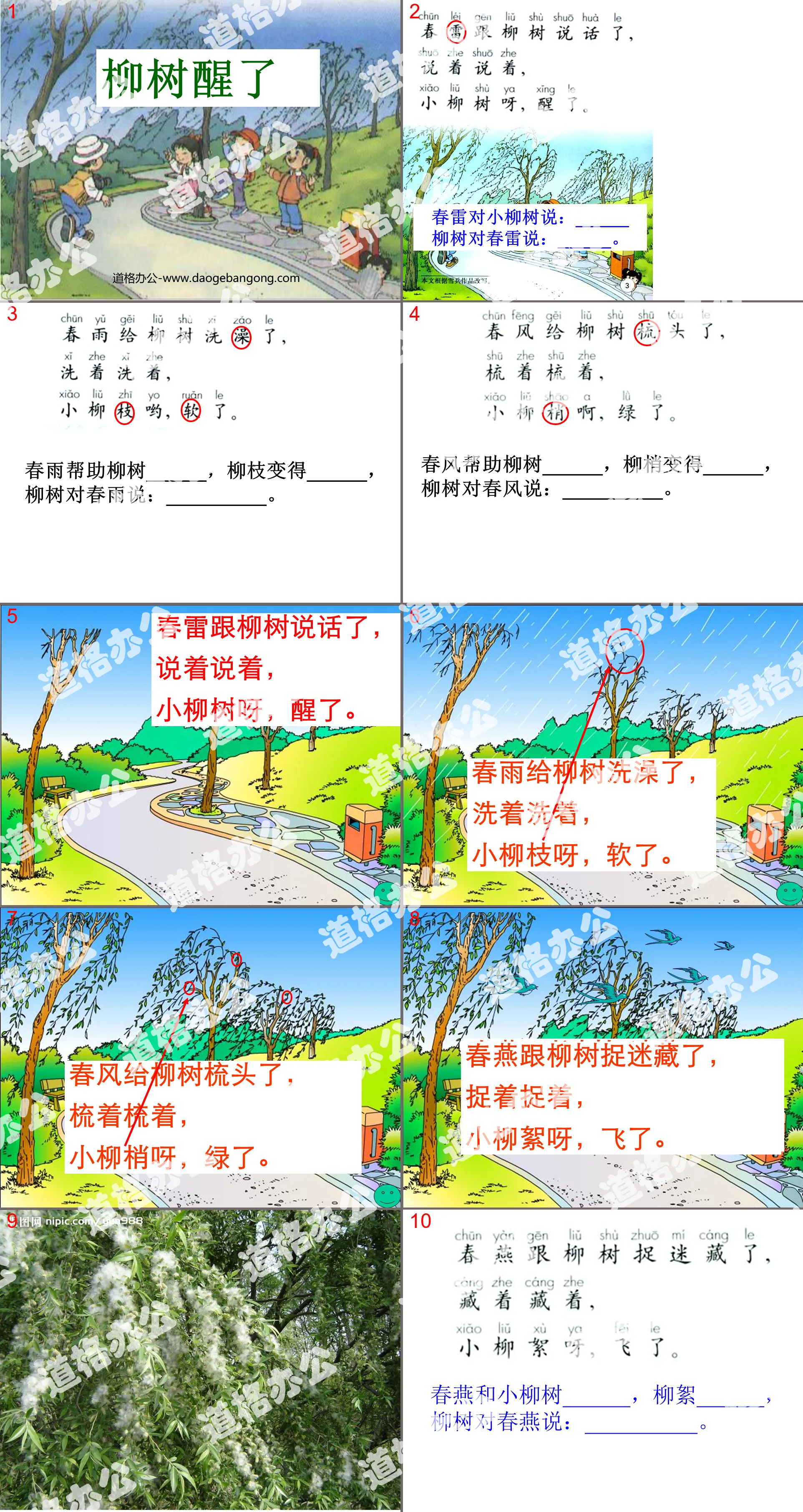 《柳树醒了》PPT课件4
