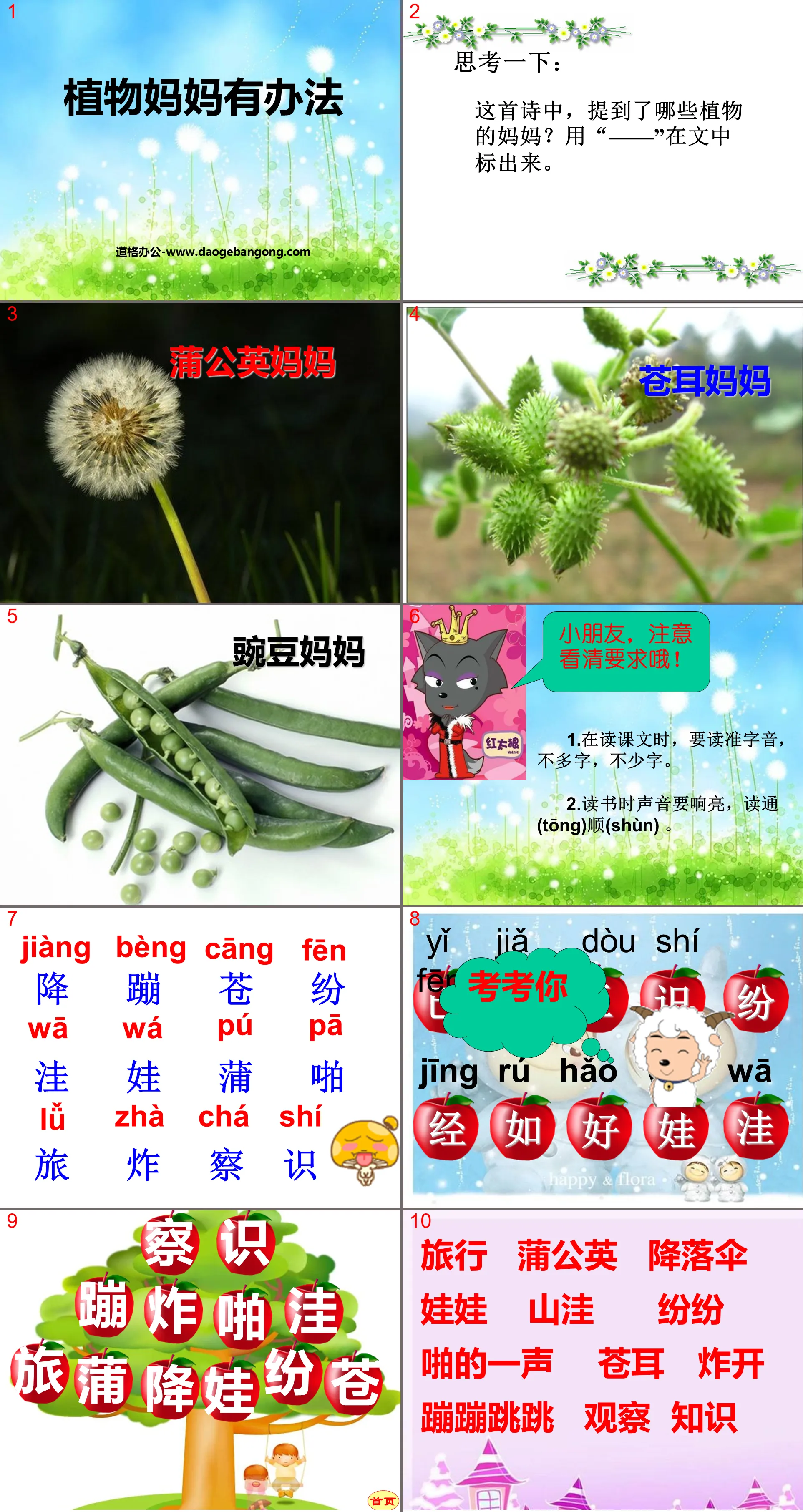 《植物妈妈有办法》PPT课件2
