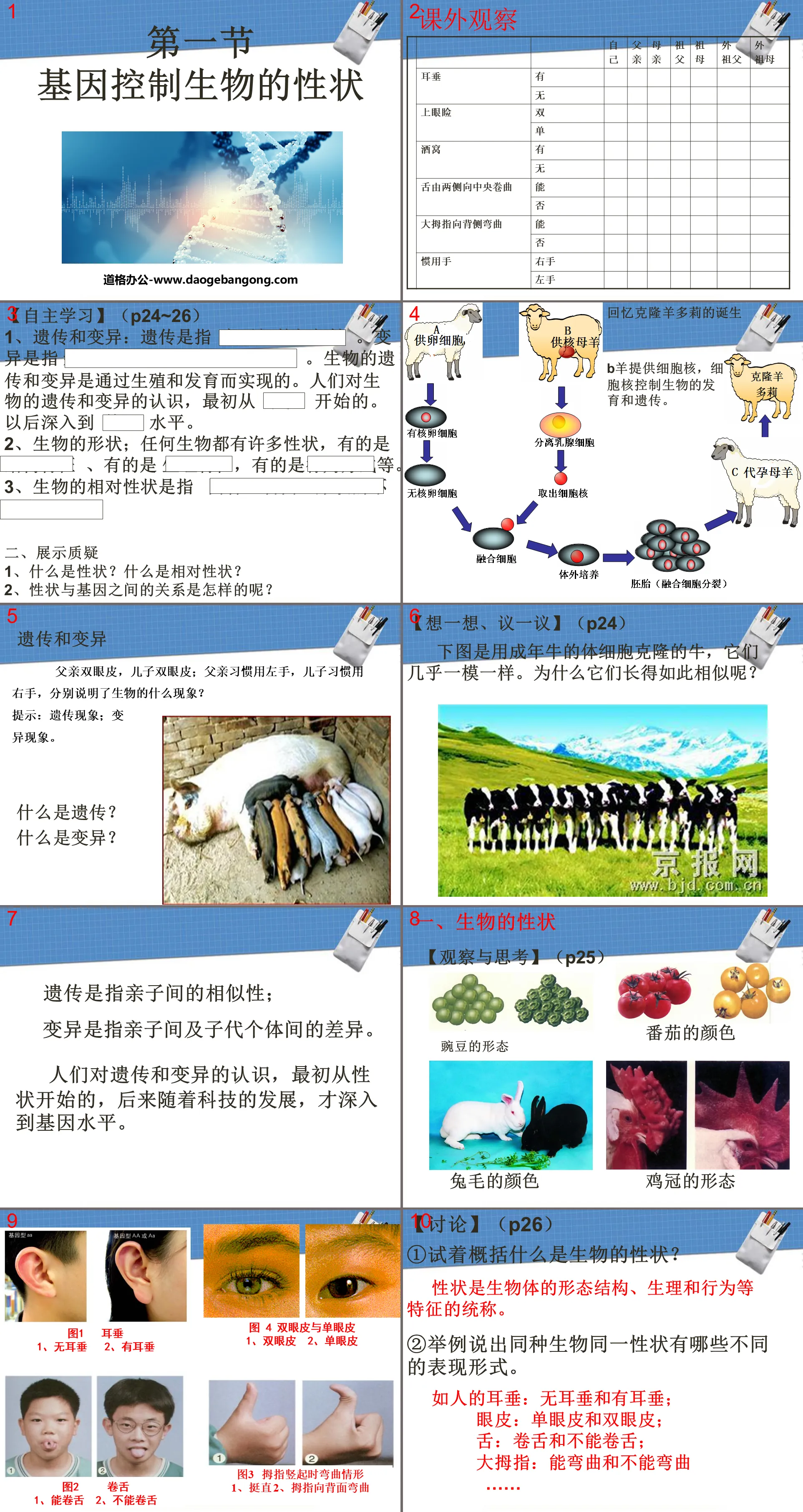 "Genes Control Biological Traits" Biological Inheritance and Variation PPT Courseware 2