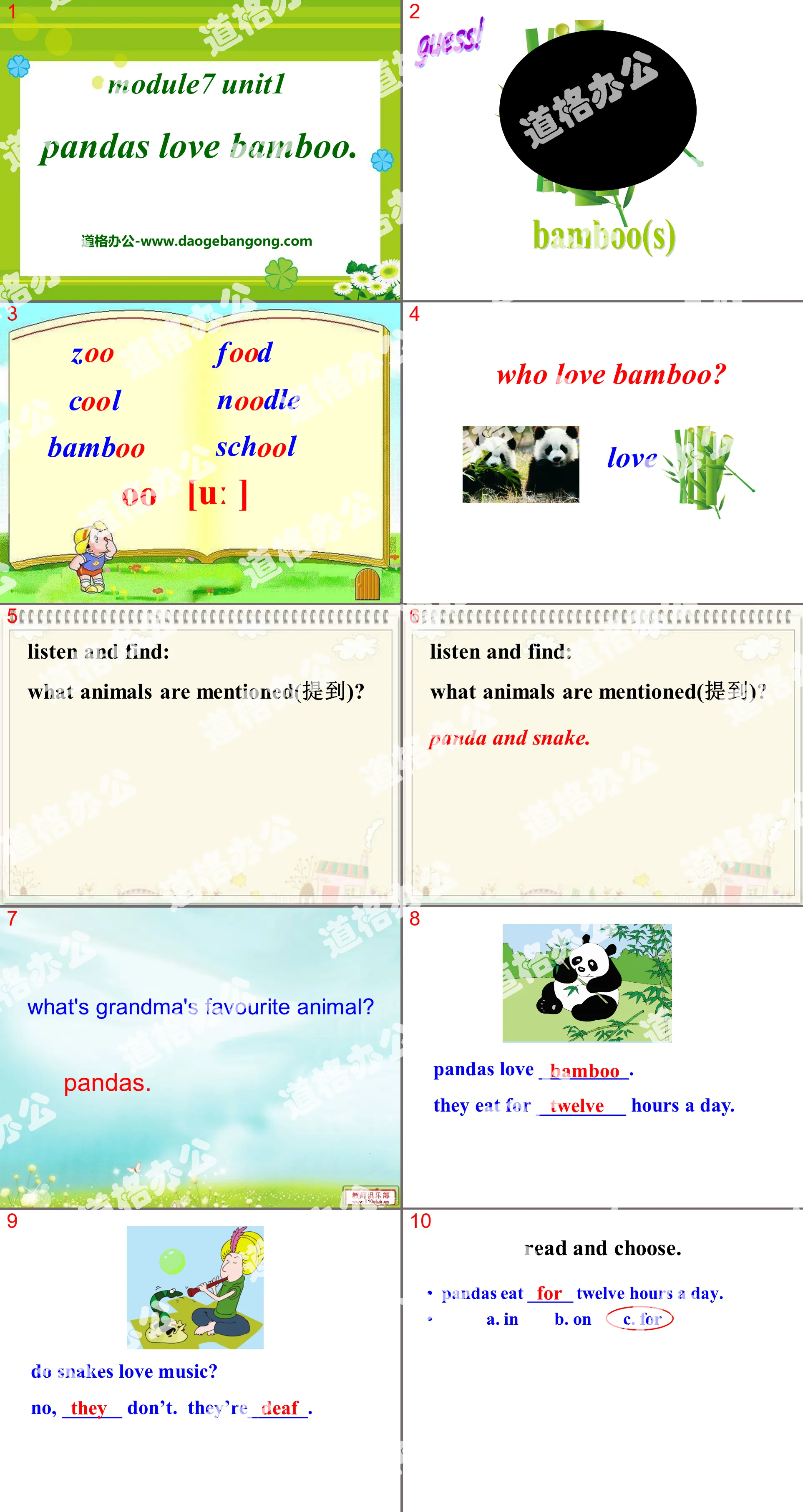 《Pandas love bamboo》PPT课件4
