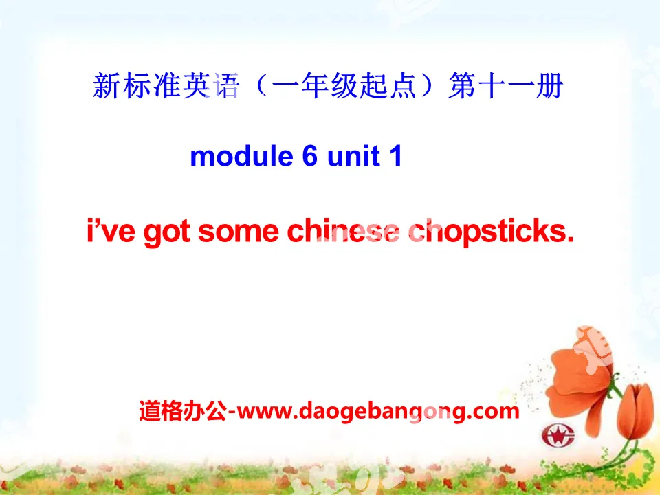 《I've got some Chinese chopsticks》PPT課件