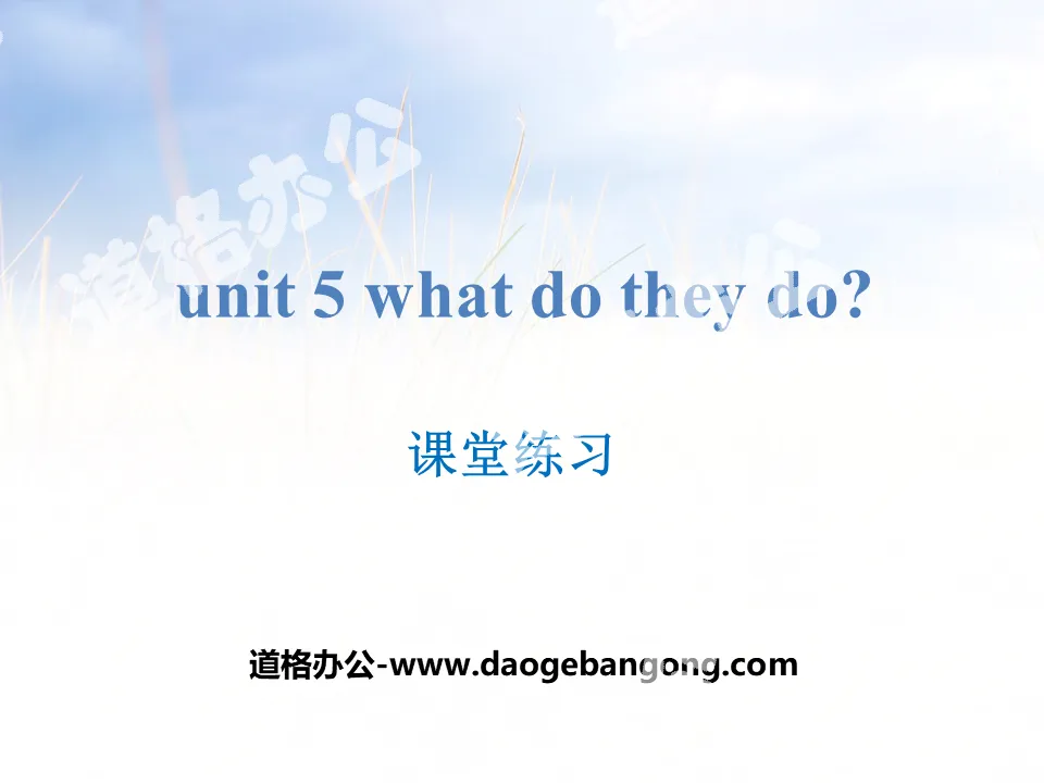 "What do they do?" Classroom Exercise PPT
