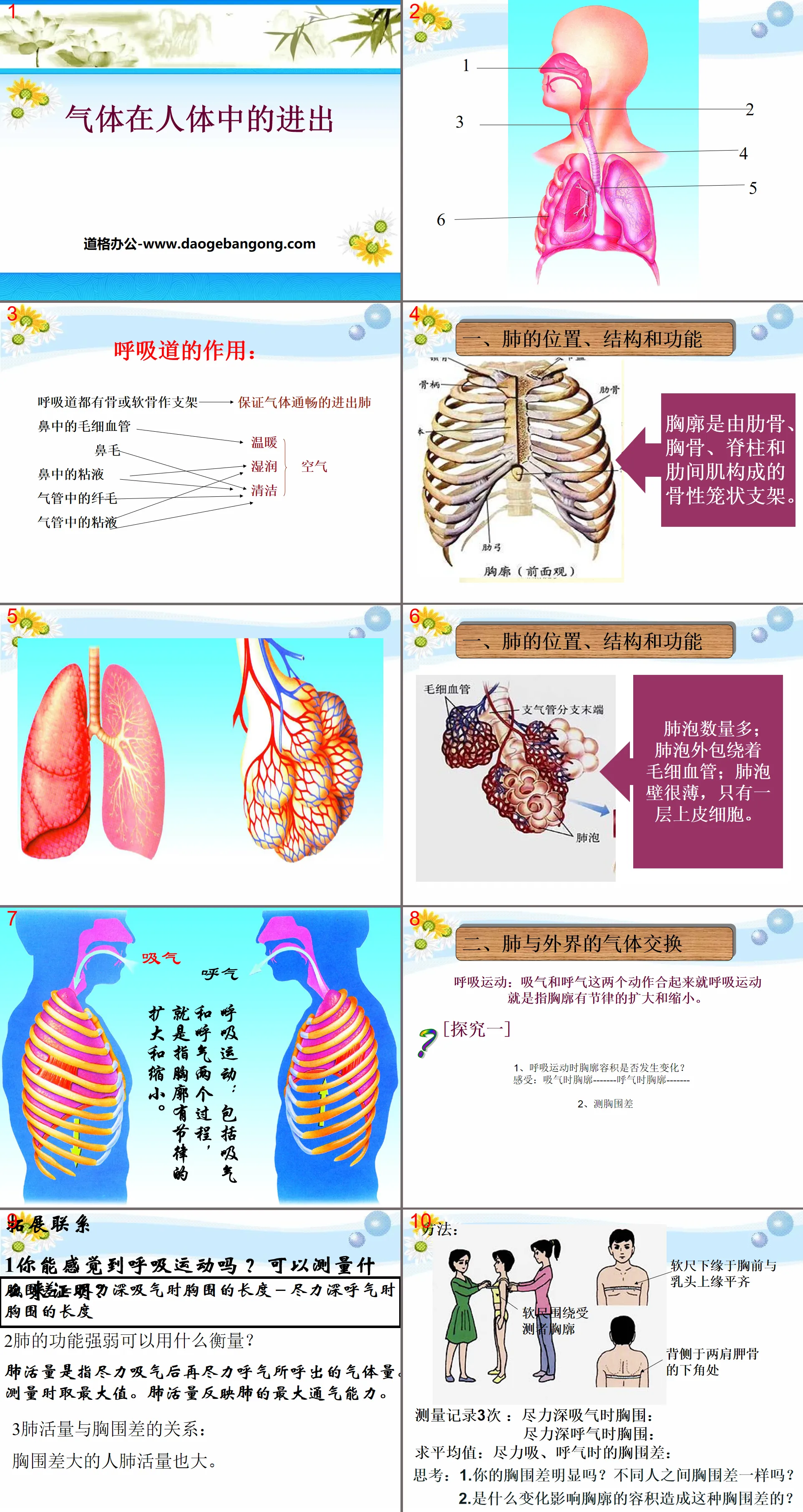 《氣體在人體中的進出》人體的奧秘PPT課程2