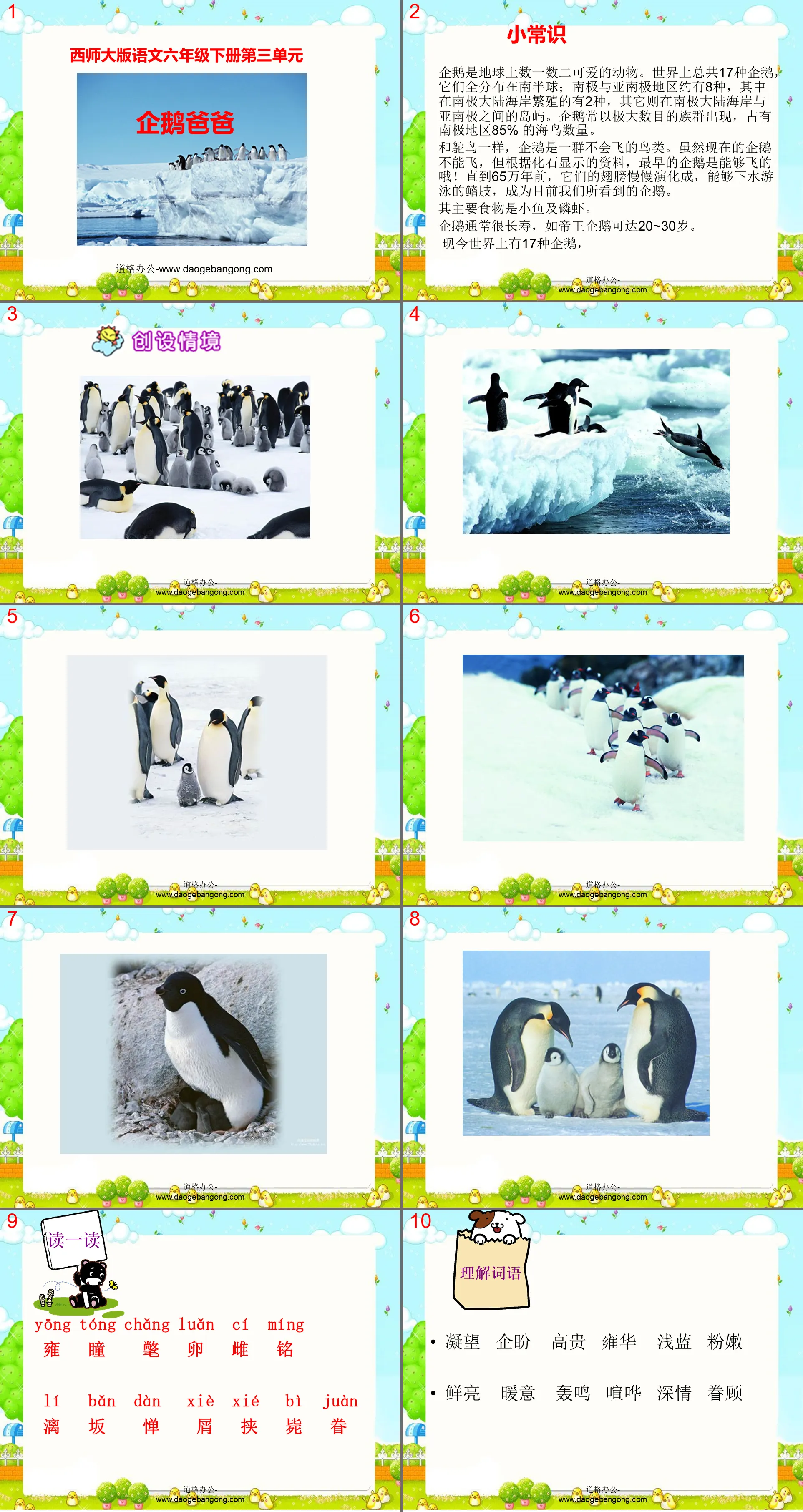 "Penguin Dad" PPT courseware