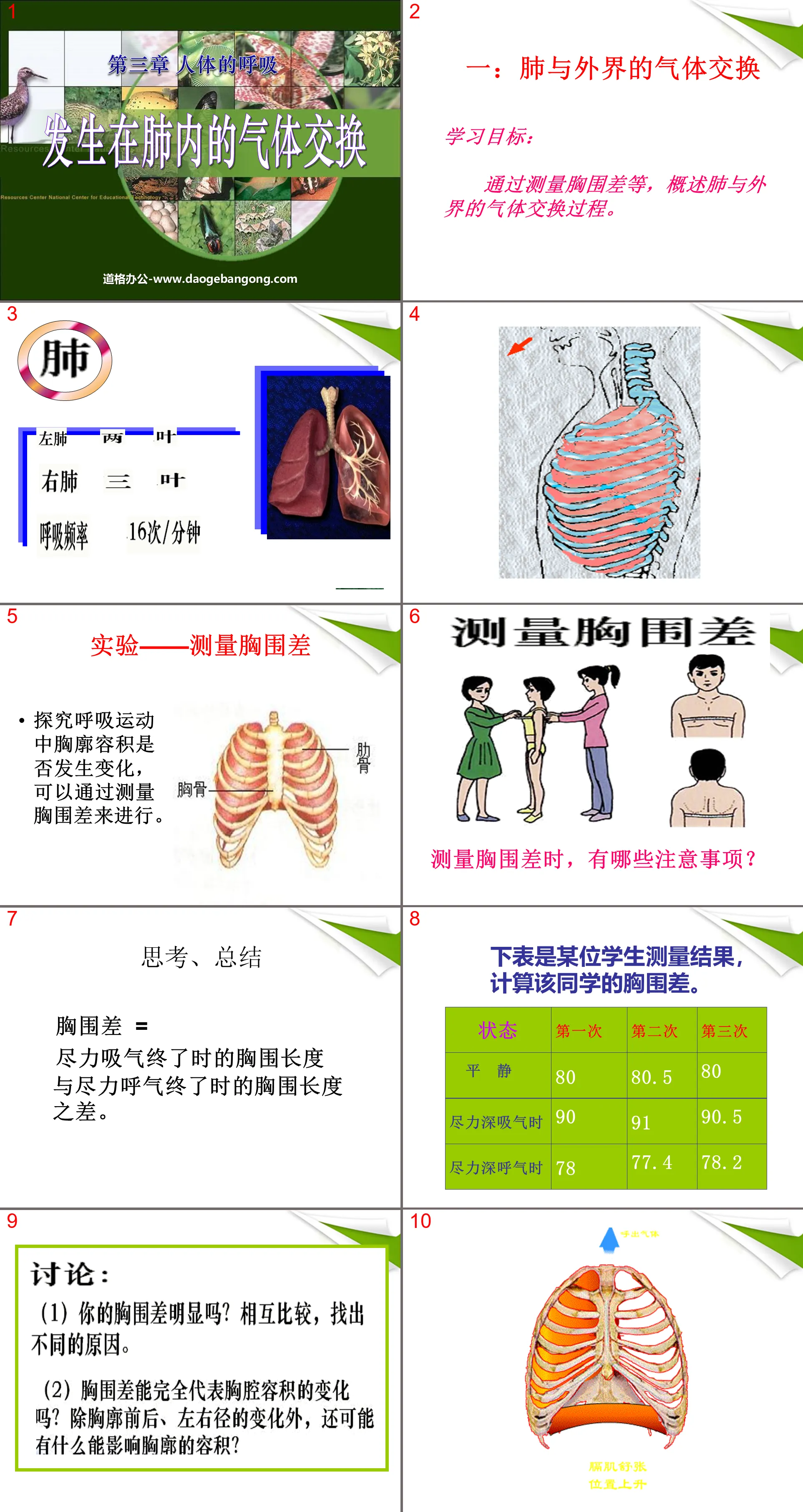 《发生在肺内的气体交换》人体的呼吸PPT课件4
