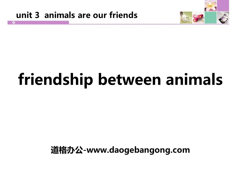 《Friendship Between Animals》Animals Are Our Friends PPT教学课件
