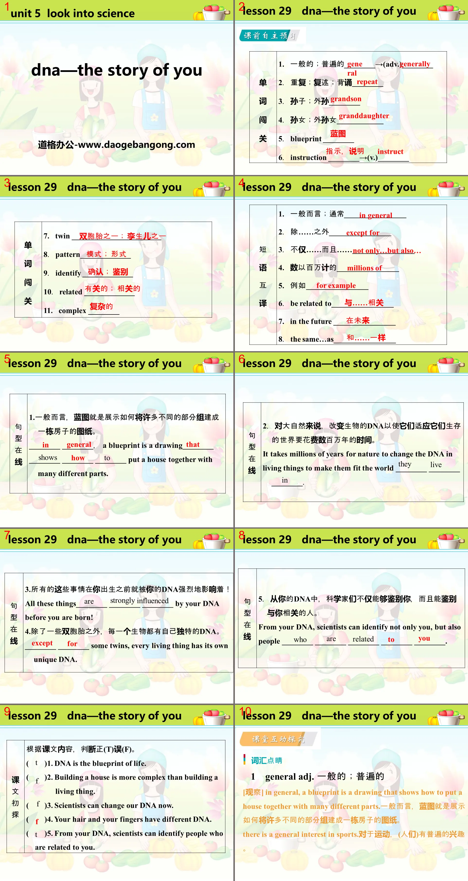 《DNA-The Story of You》Look into Science! PPT教学课件