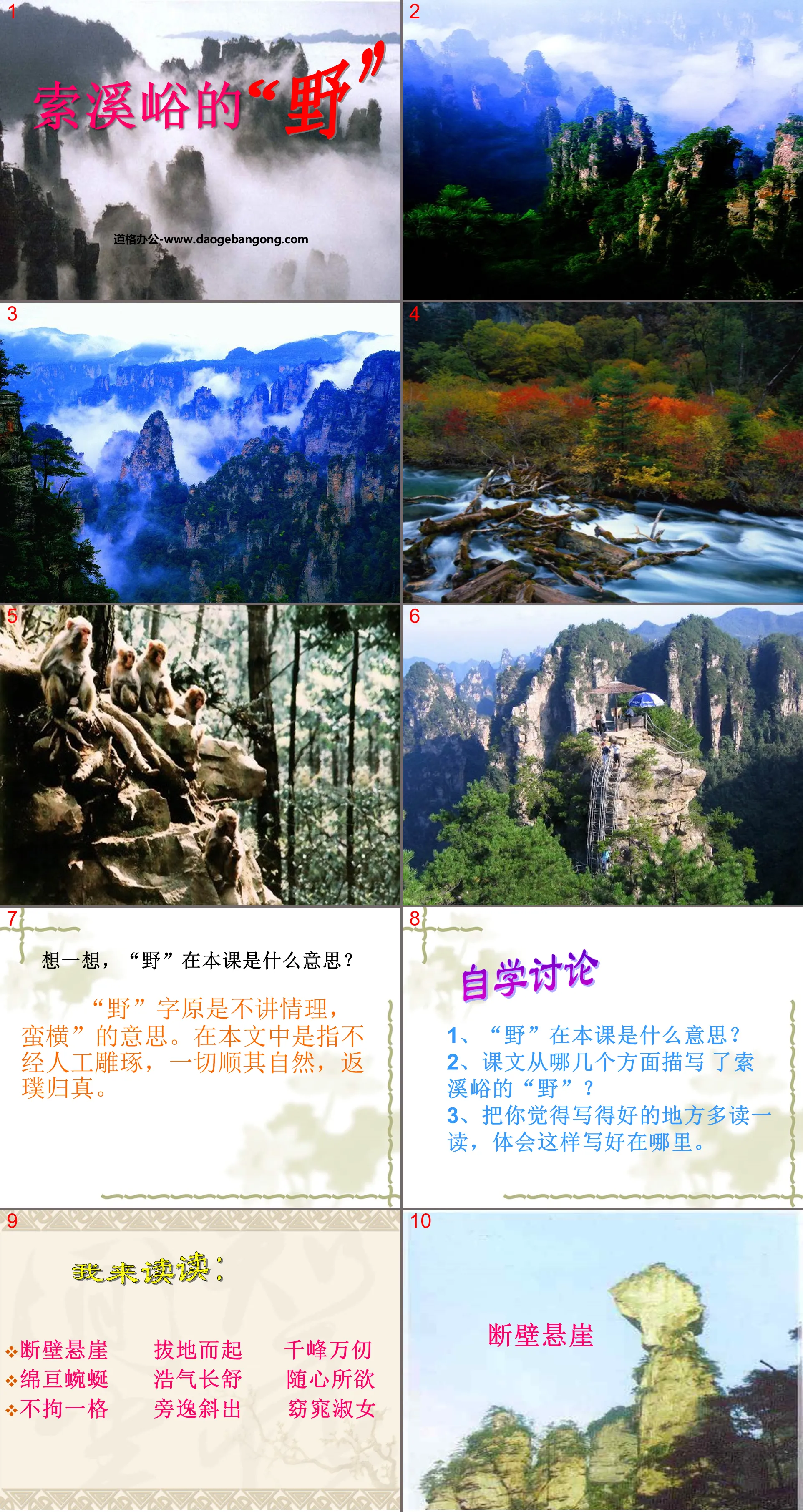 "The "Wildness" of Suoxiyu" PPT courseware download 8