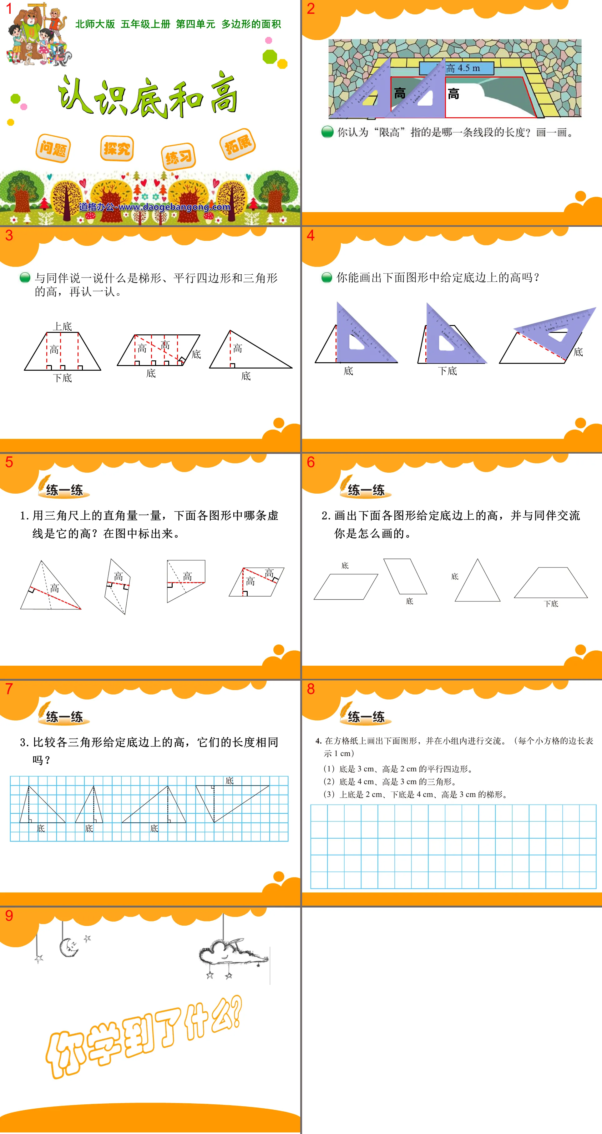 《认识底和高》多边形的面积PPT课件