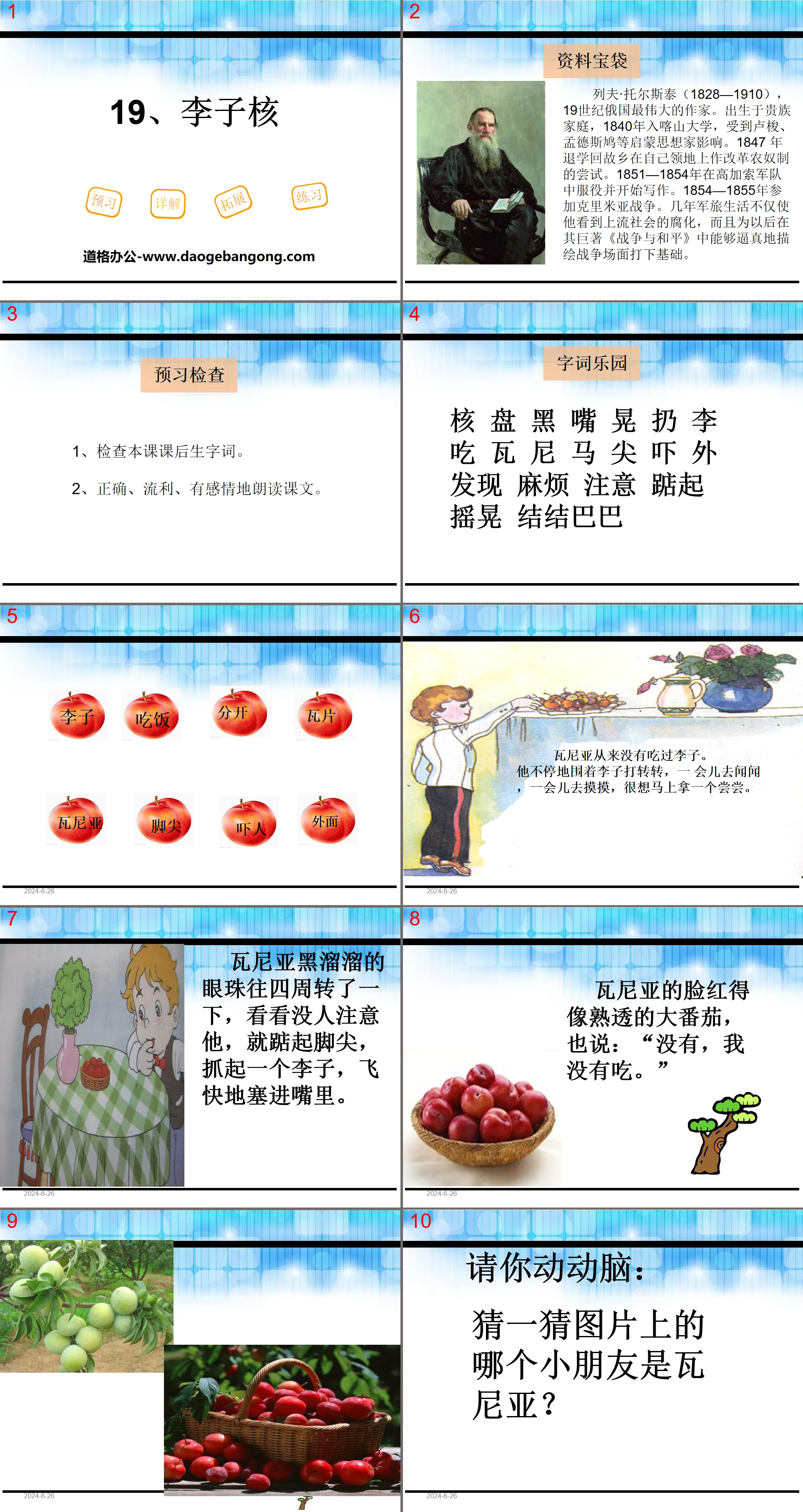 《李子核》PPT