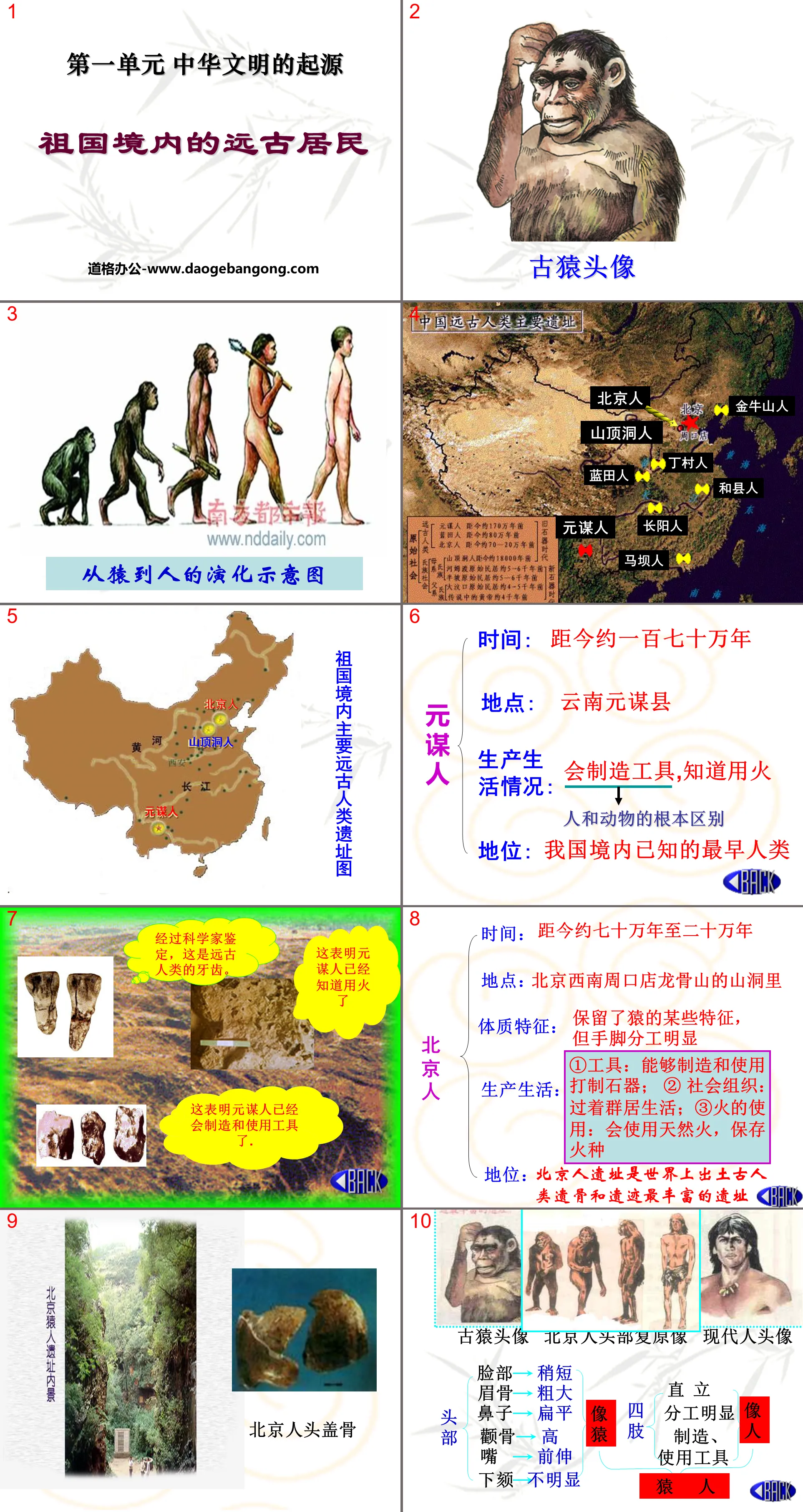 《祖国境内的远古居民》中华文明的起源PPT课件
