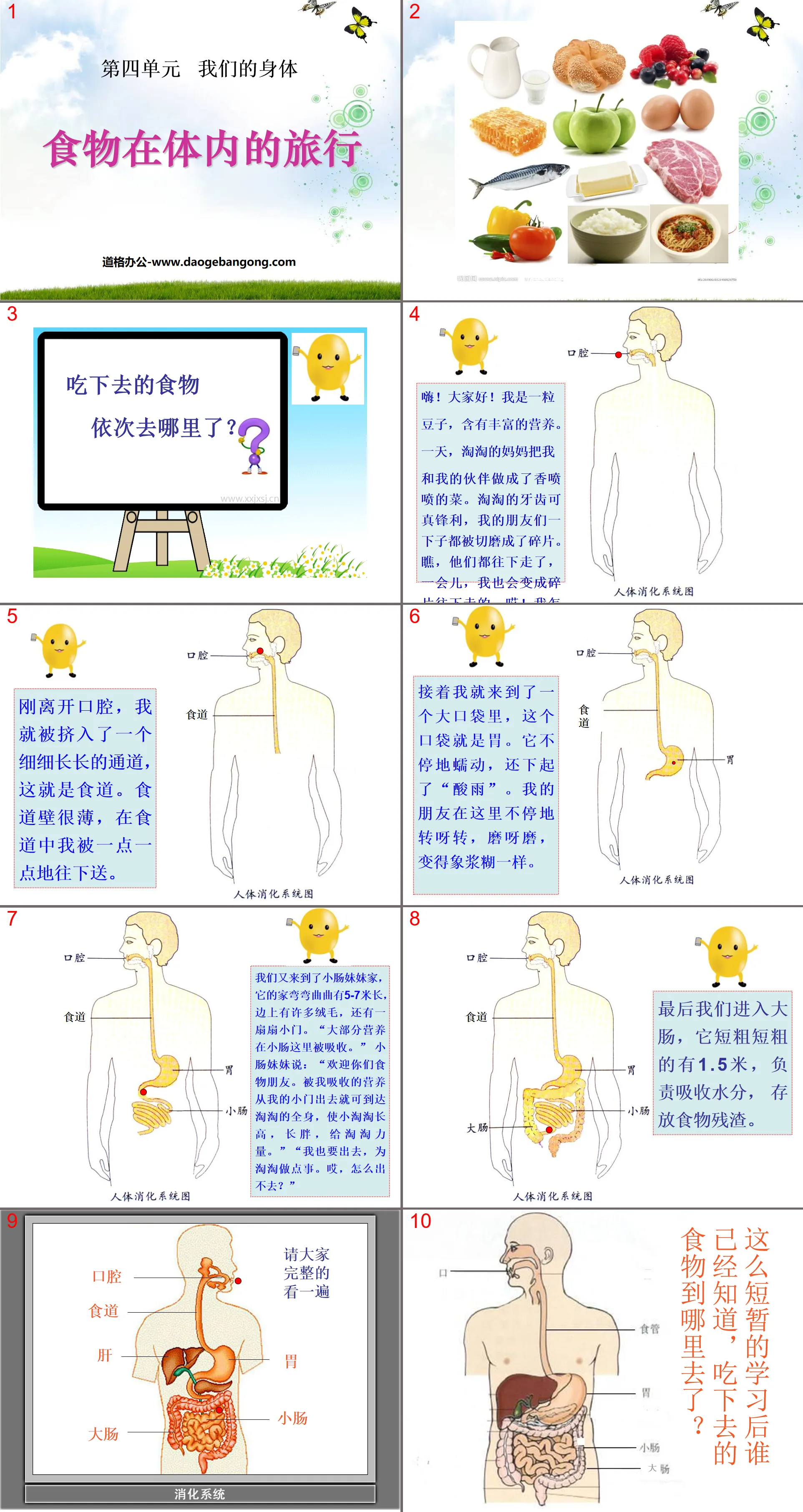 "The Journey of Food in the Body" Our Body PPT Courseware 2