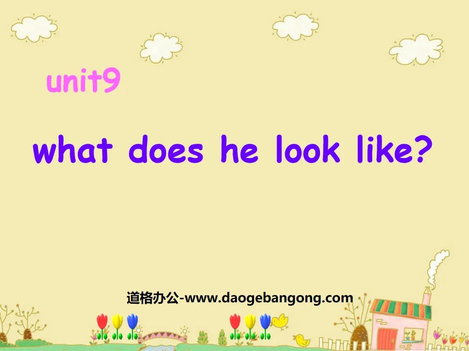 "What does he look like?" PPT courseware 6