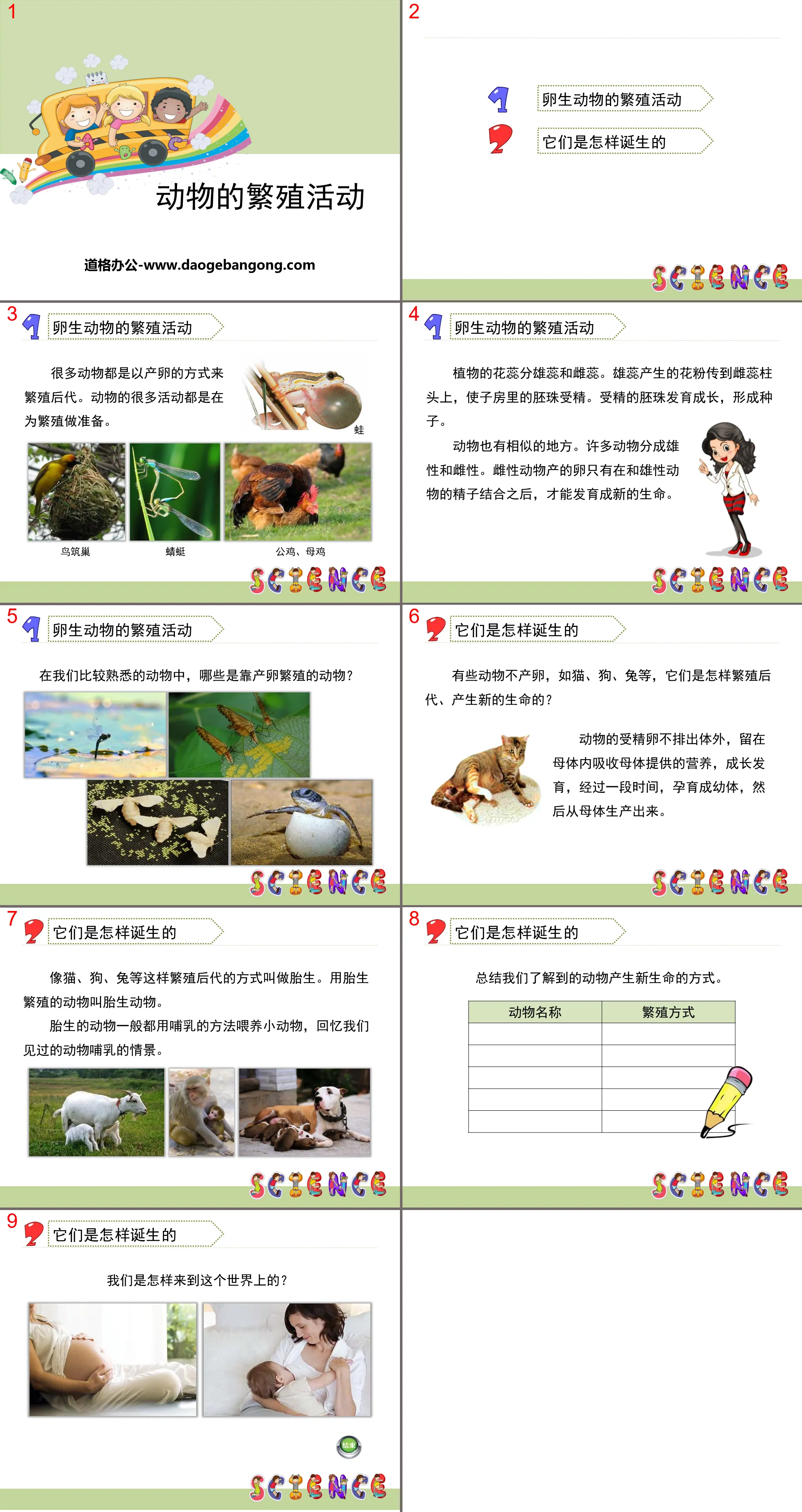 《動物的繁殖活動》新的生命PPT