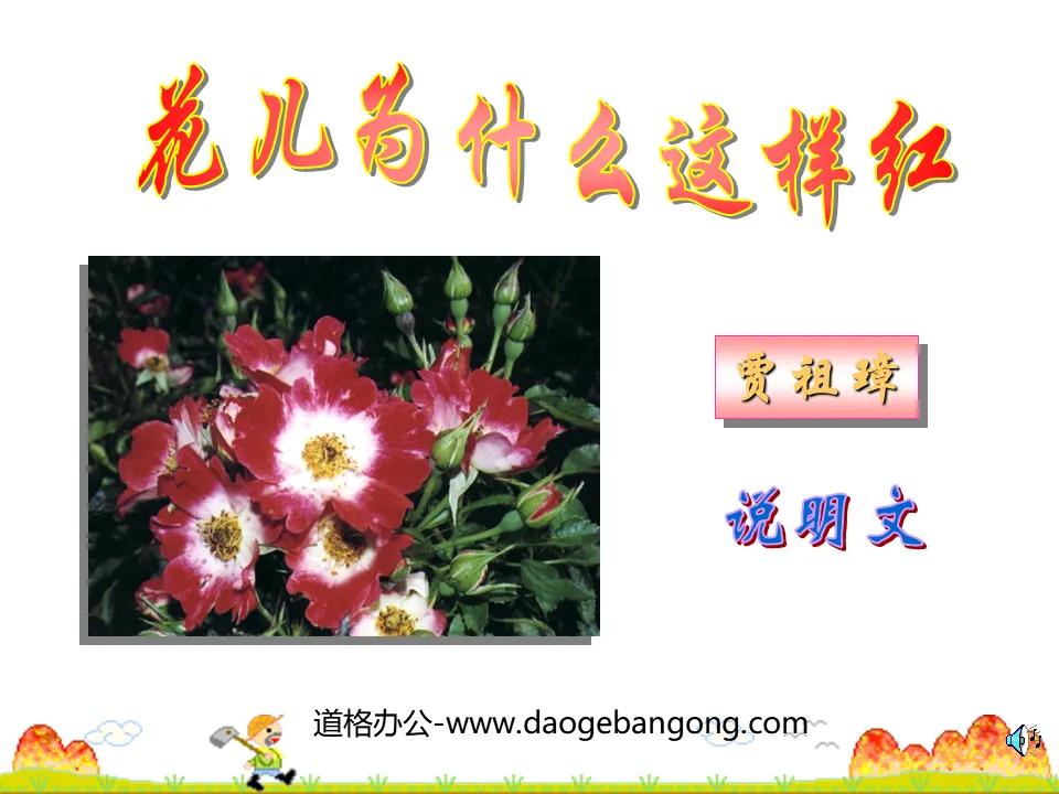 "Why are the flowers so red" PPT courseware 3