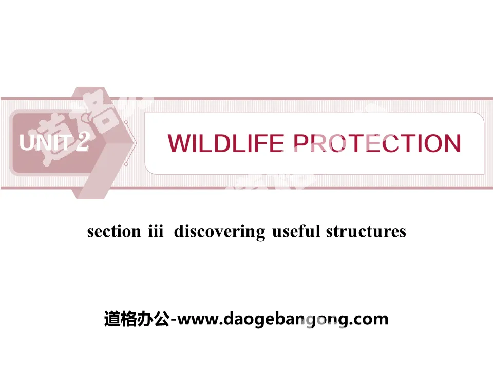 《Wildlife Protection》SectionⅢ PPT
